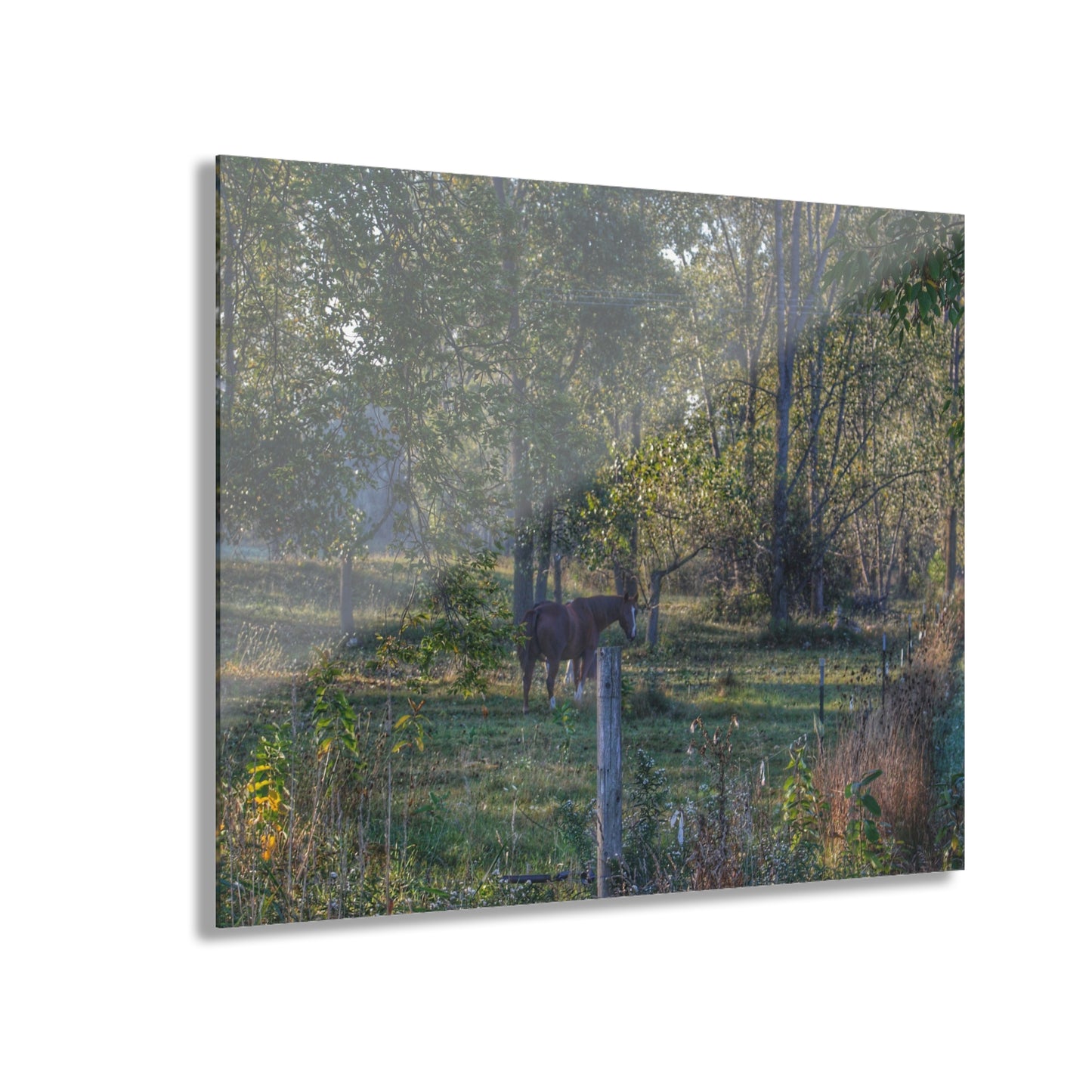 U R There Photography Chestnut Horse Among the Trees Rustic Farmhouse Acrylic Wall Print