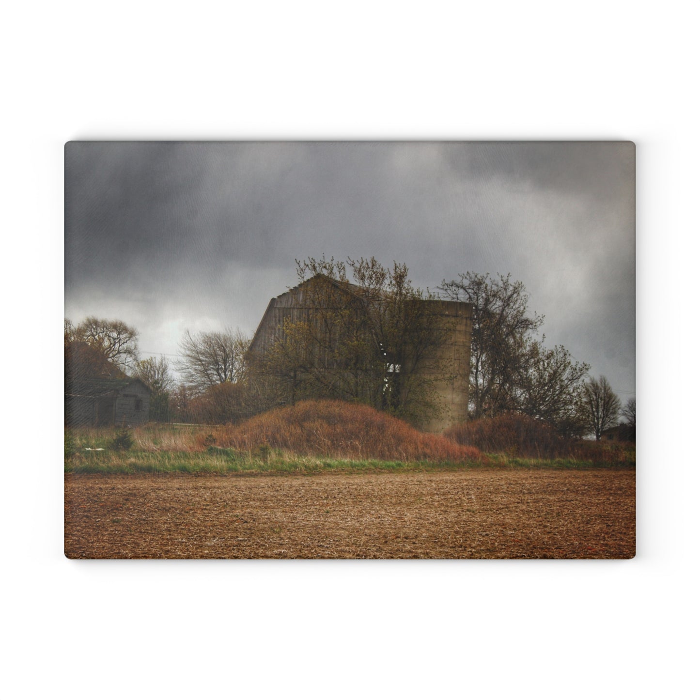 U R There Photography West Snover Grey Rustic Farmhouse Tempered-Glass Cutting Board