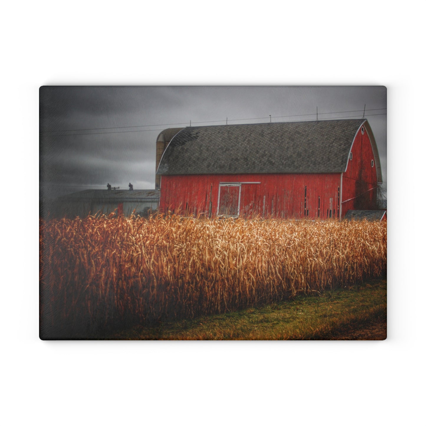 U R There Photography Slattery Road Cornfield Red Rustic Farmhouse Tempered-Glass Cutting Board