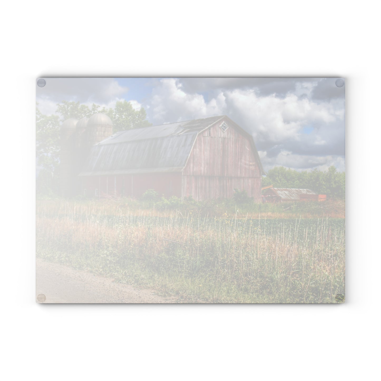 U R There Photography Shelby Red III Rustic Farmhouse Tempered-Glass Cutting Board