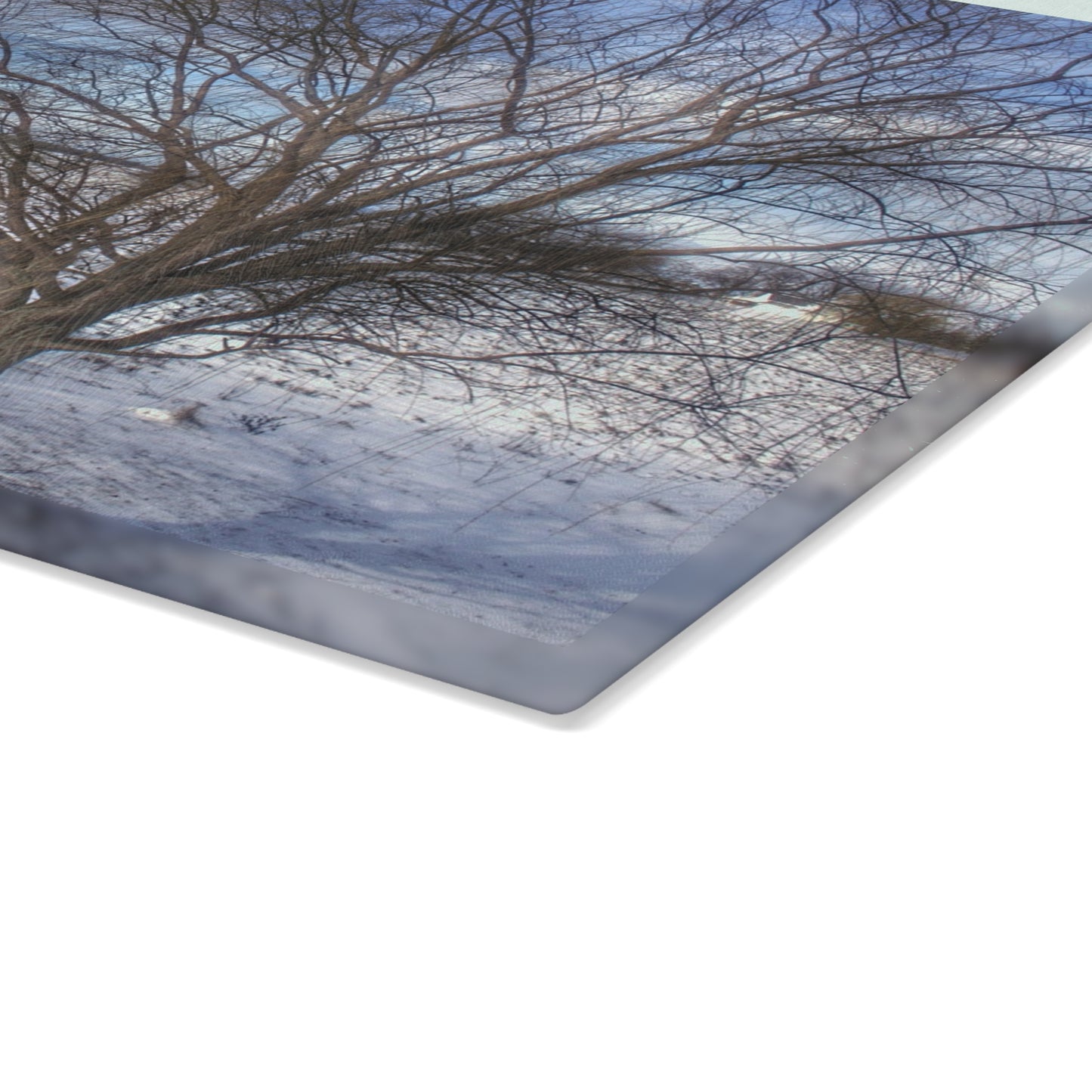 U R There Photography Winter Farm Willow Tree Rustic Farmhouse Tempered-Glass Cutting Board
