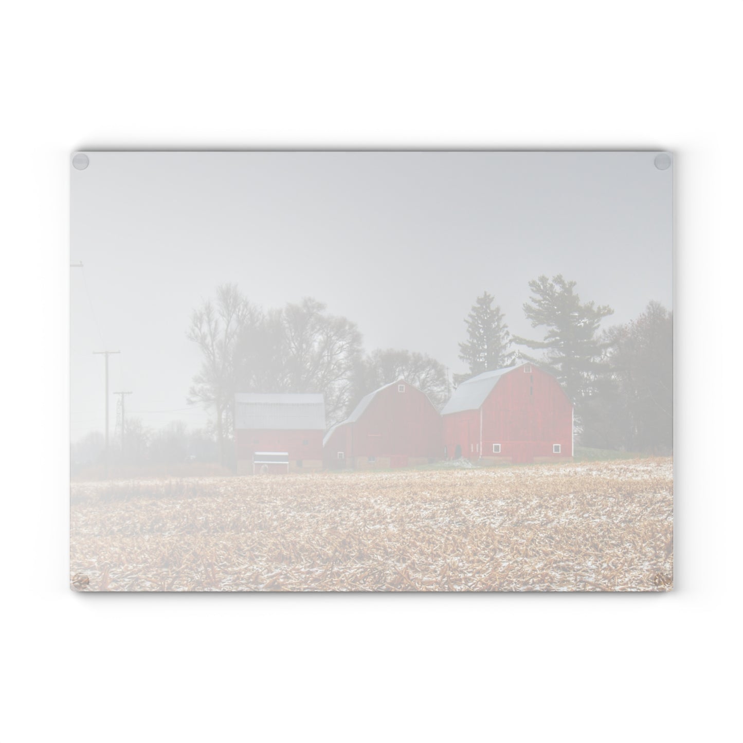 U R There Photography Shoemaker Road Winter Reds II Rustic Farmhouse Tempered-Glass Cutting Board