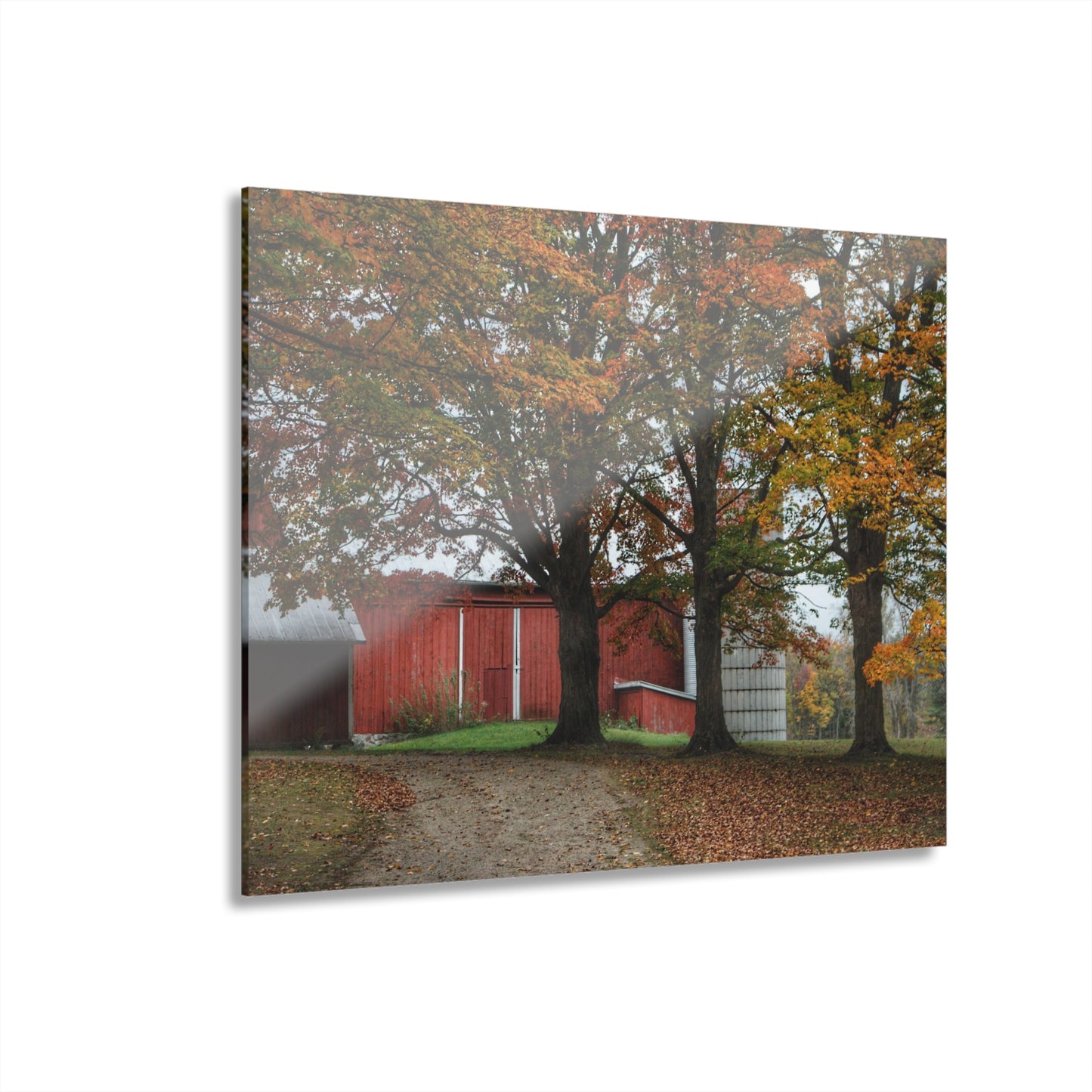 U R There Photography Brown Road Red in the Fall Rustic Farmhouse Acrylic Wall Print