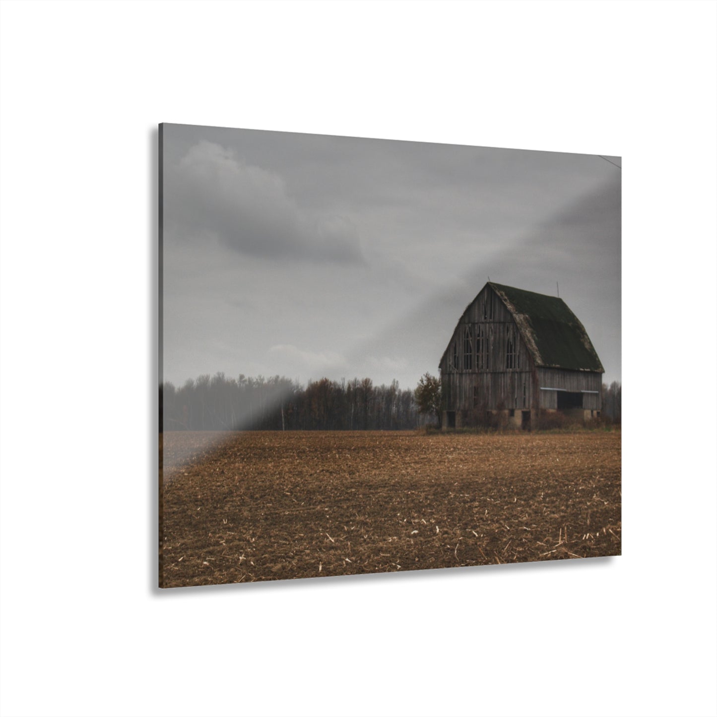 U R There Photography Stone Road Old Grey I Rustic Farmhouse Acrylic Wall Print
