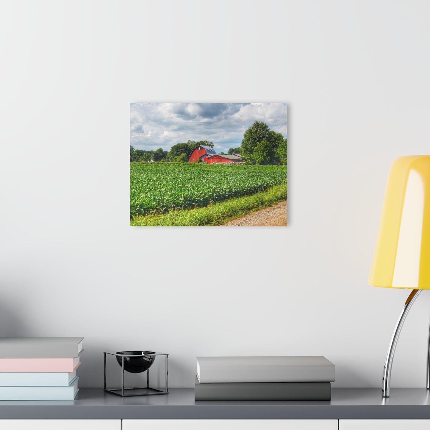U R There Photography Block Road Reds Rustic Farmhouse Acrylic Wall Print