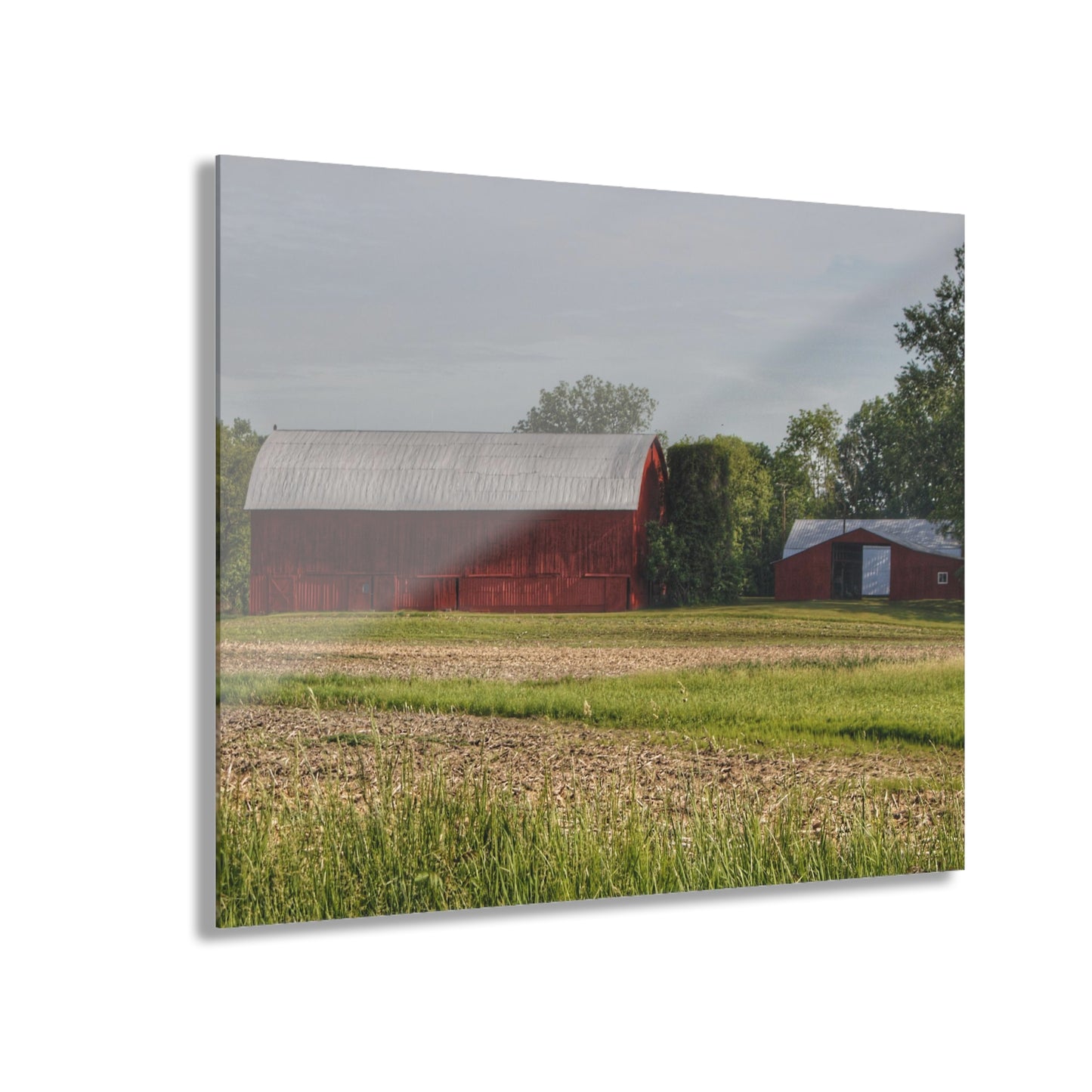 U R There Photography Catlin Road Reds Rustic Farmhouse Acrylic Wall Print