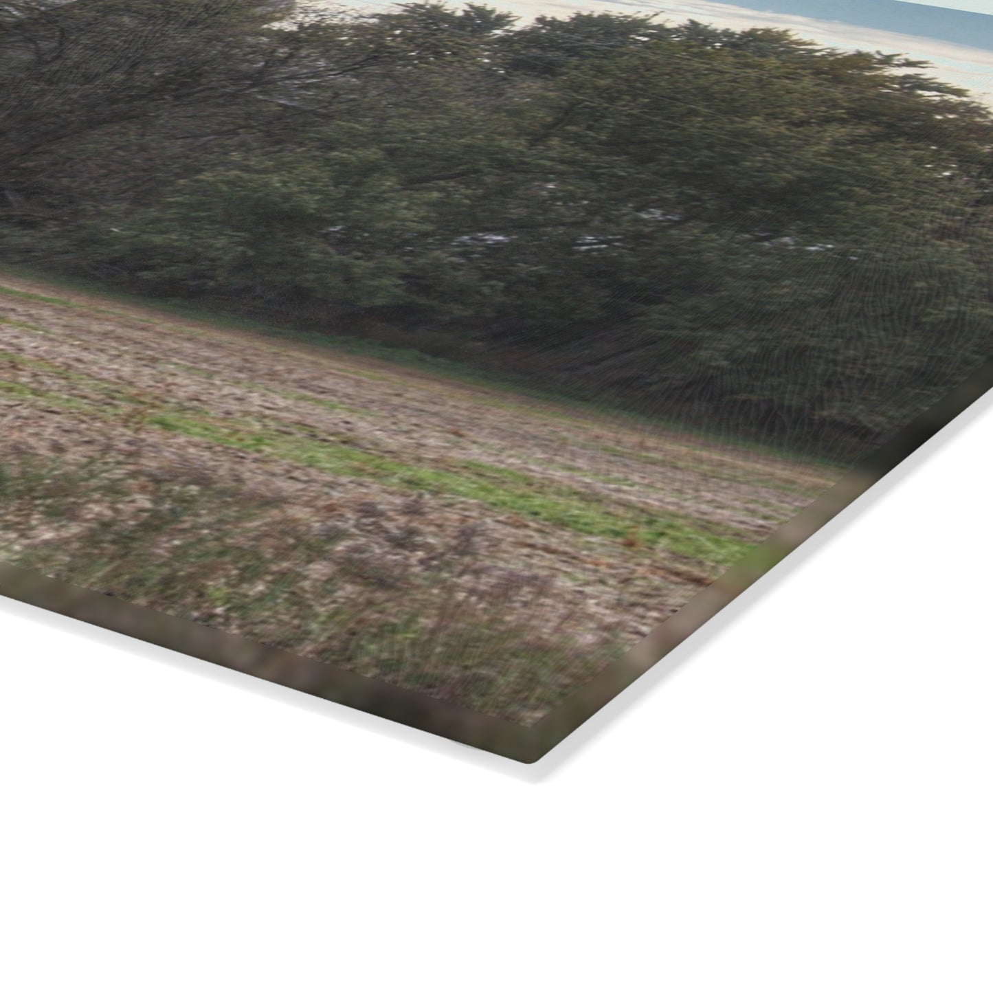 U R There Photography Burnside Road Grey I Rustic Farmhouse Tempered-Glass Cutting Board