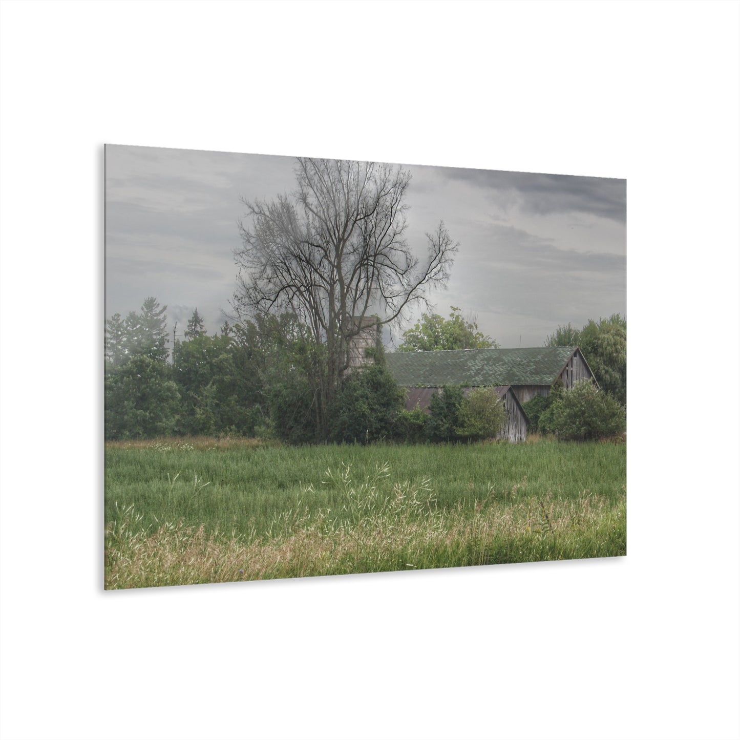 U R There Photography Wilder Road Grey III Rustic Farmhouse Acrylic Wall Print