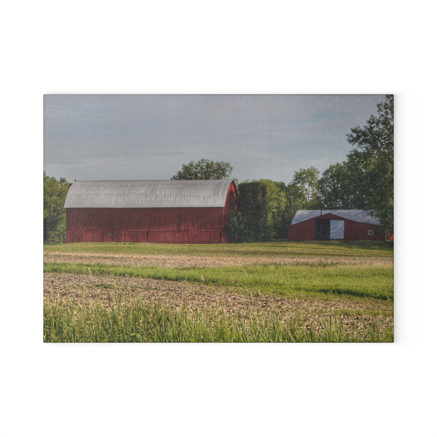 U R There Photography Catlin Road Reds Rustic Farmhouse Tempered-Glass Cutting Board