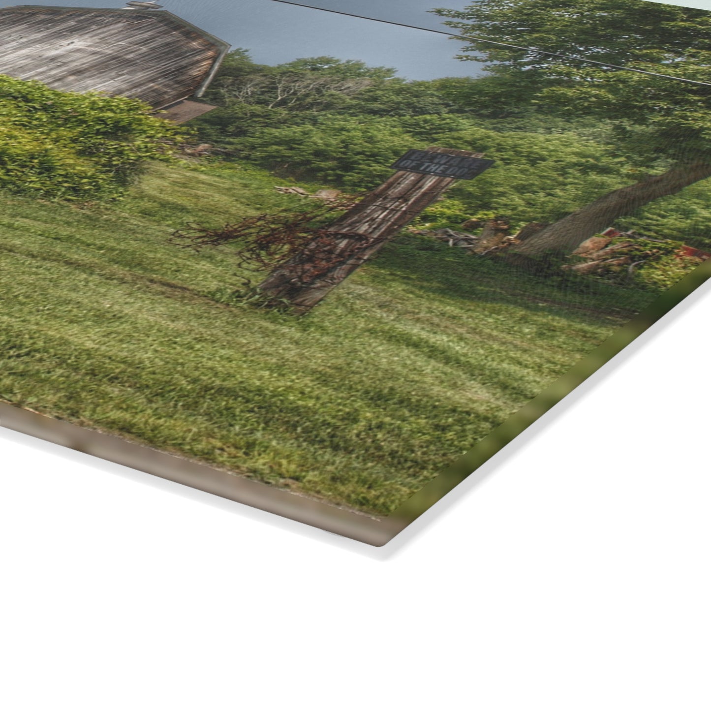 U R There Photography Vassar Road Hidden Grey I Rustic Farmhouse Tempered-Glass Cutting Board
