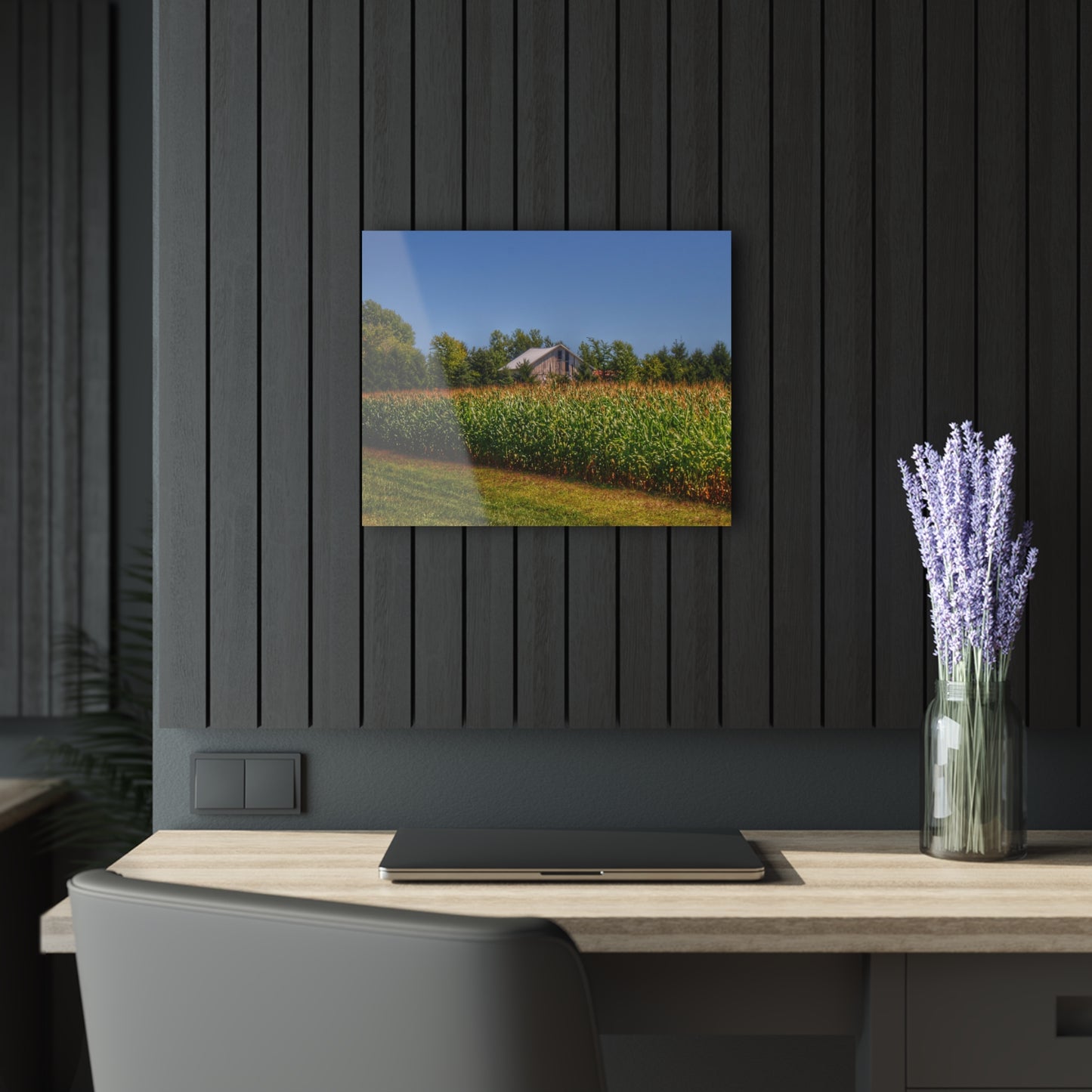 U R There Photography Beyond the Corn on Birch Road Run Rustic Farmhouse Acrylic Wall Print 14 "x 11