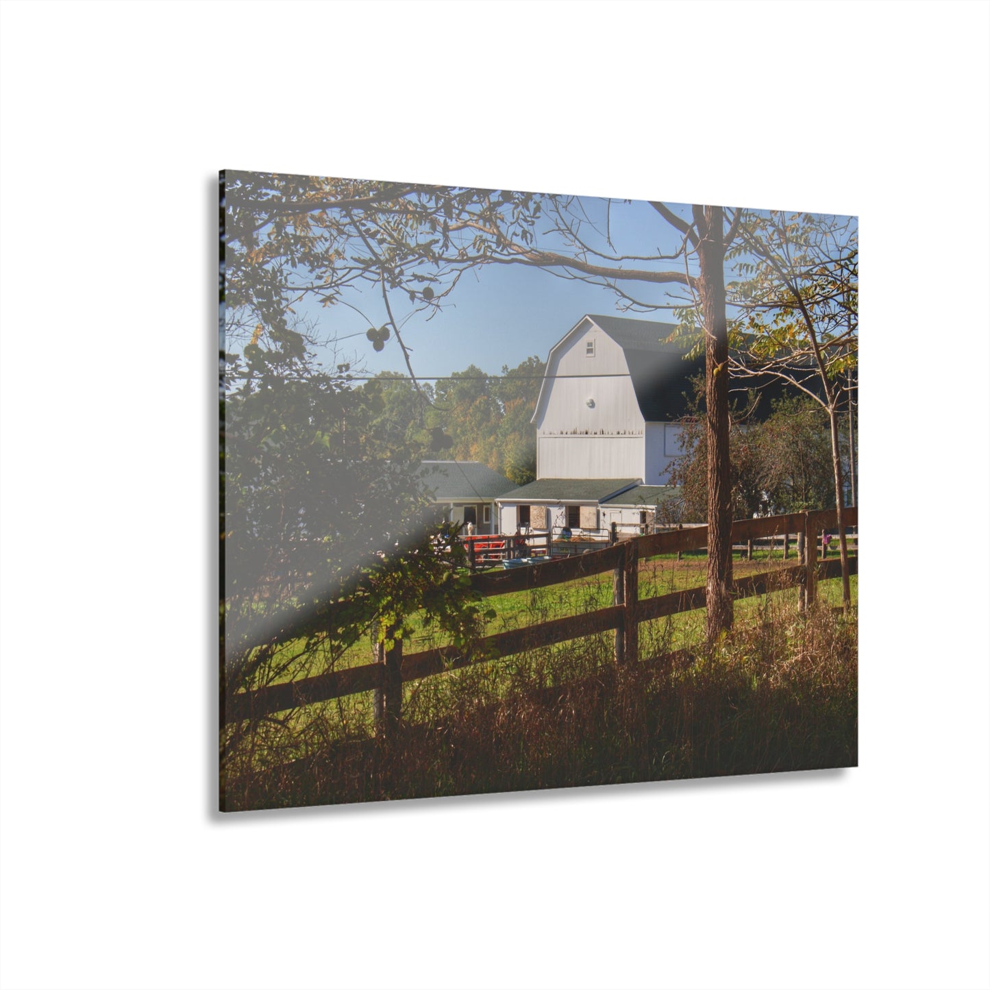 U R There Photography Oakwood Road White I Rustic Farmhouse Acrylic Wall Print