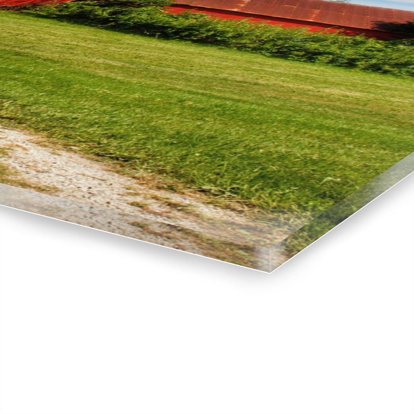 U R There Photography South Oak Road Reds I Rustic Farmhouse Acrylic Wall Print