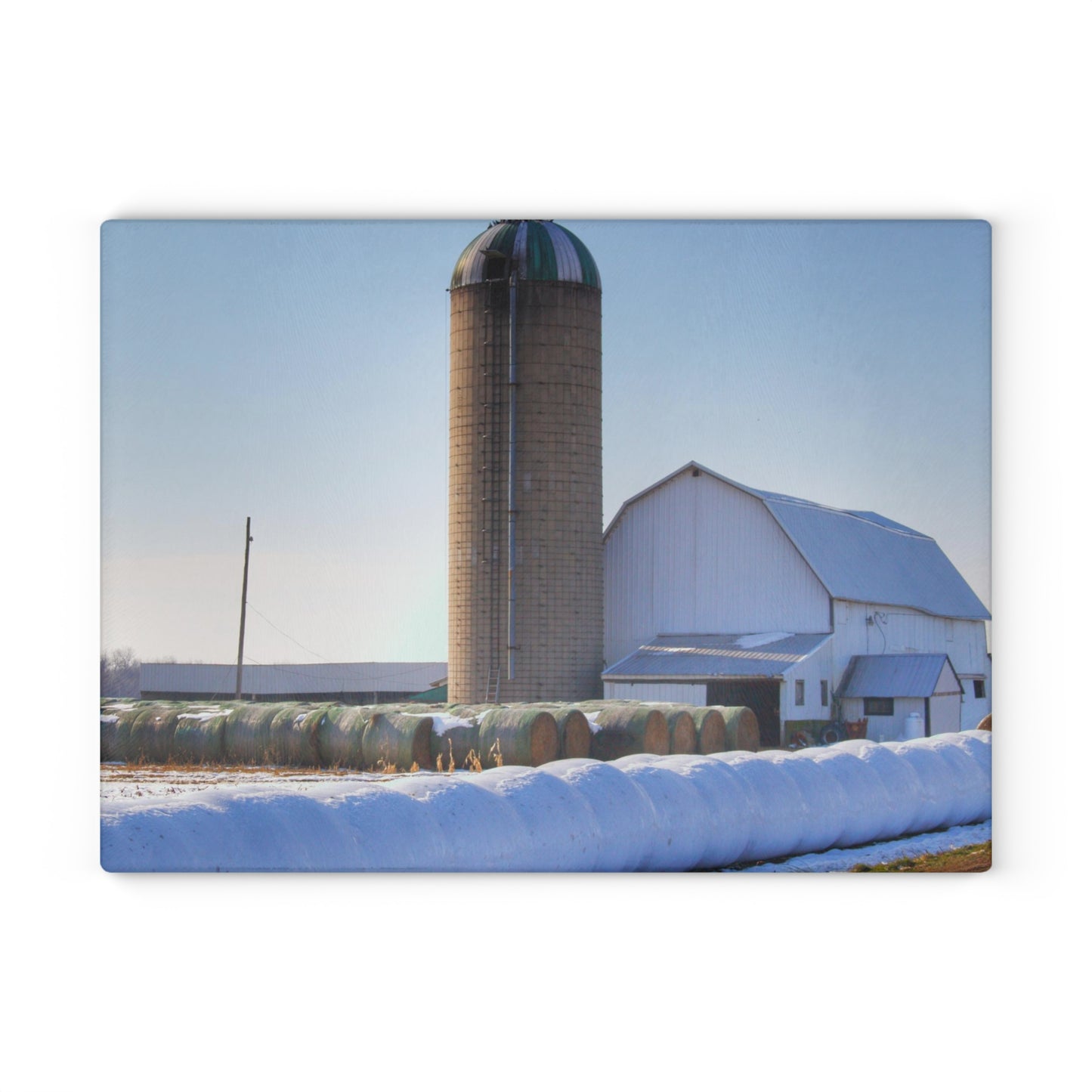 U R There Photography Bowers Road White in Winter Rustic Farmhouse Tempered-Glass Cutting Board