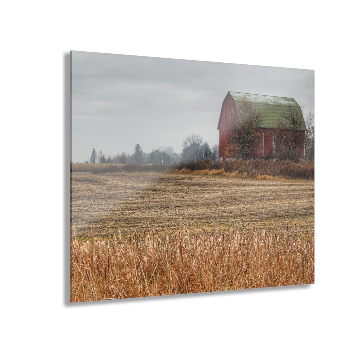 U R There Photography Bowers Road Red IV Rustic Farmhouse Acrylic Wall Print