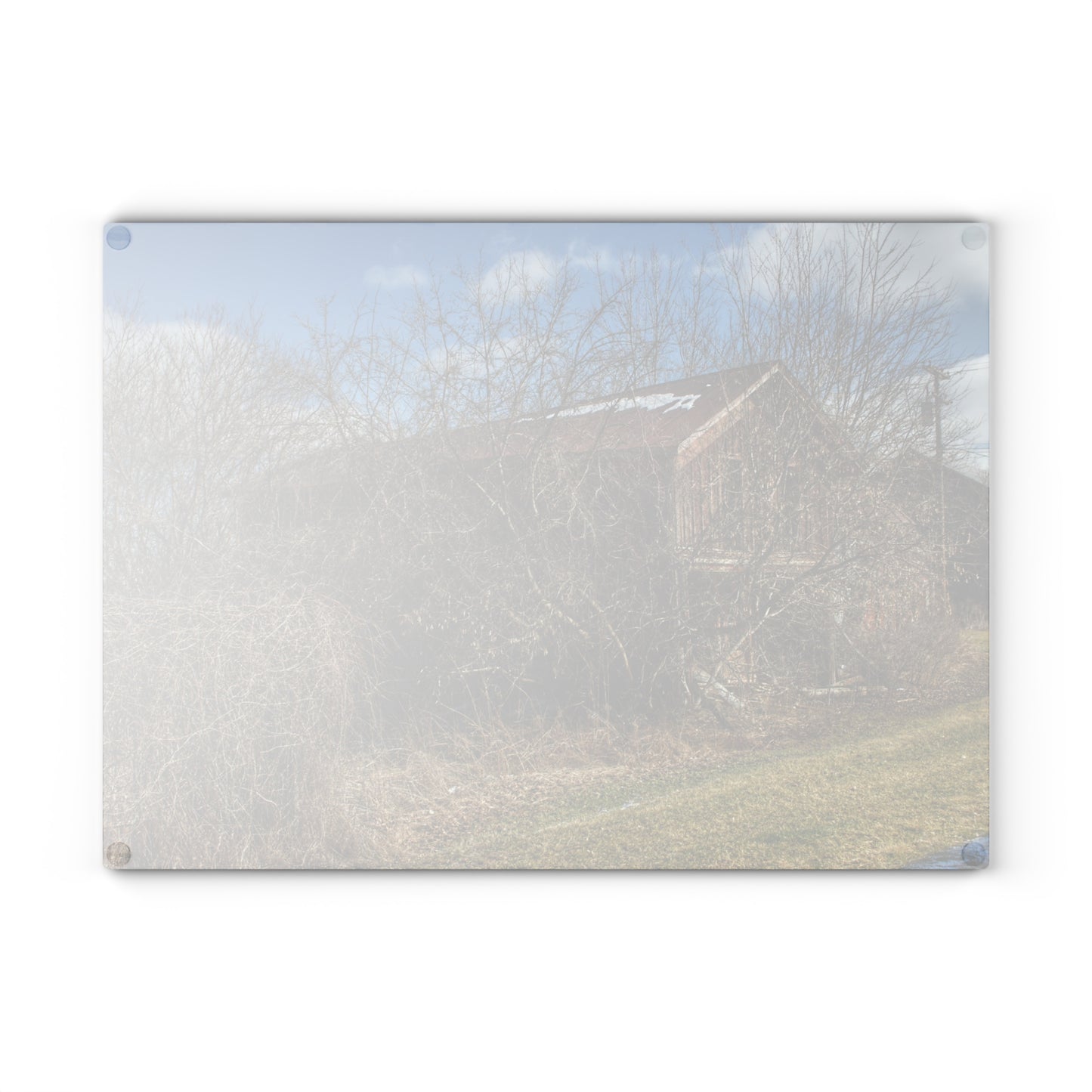 U R There Photography Buried Burnside Greys I Rustic Farmhouse Tempered-Glass Cutting Board