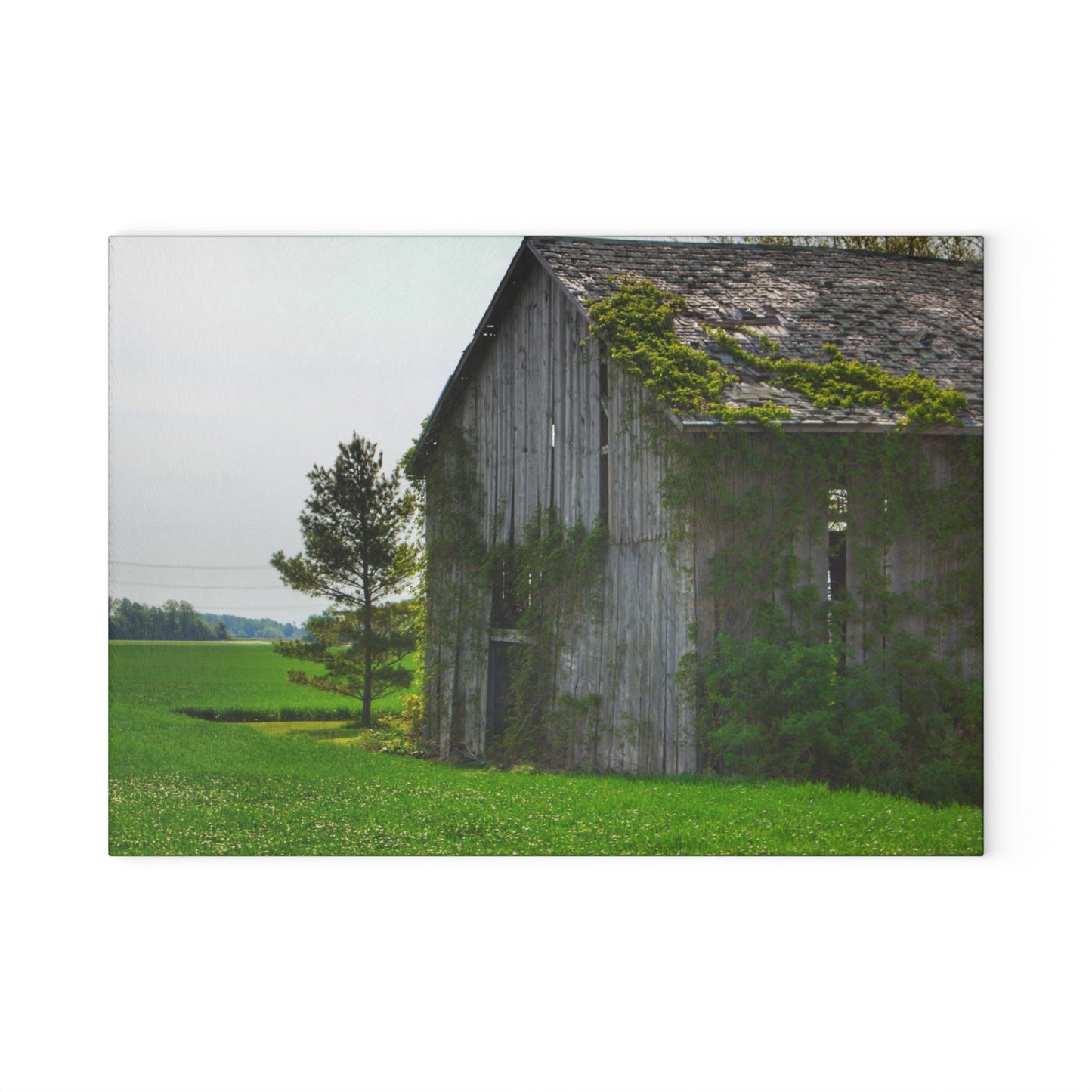 U R There Photography Caro Road Twin Grey I Rustic Farmhouse Tempered-Glass Cutting Board