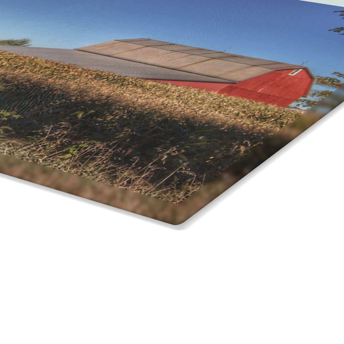 U R There Photography Red Saltbox Barn Rustic Farmhouse Tempered-Glass Cutting Board