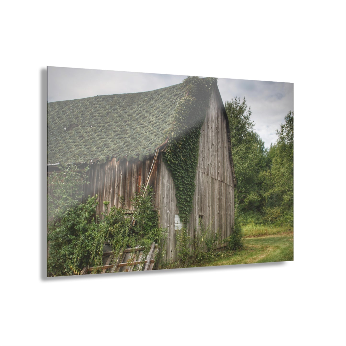 U R There Photography Chambers Grey Rustic Farmhouse Acrylic Wall Print