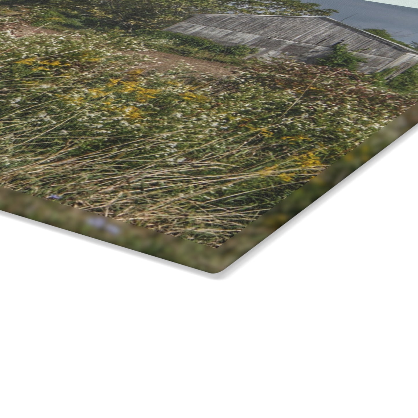 U R There Photography Almont Road Grey Rustic Farmhouse Tempered-Glass Cutting Board