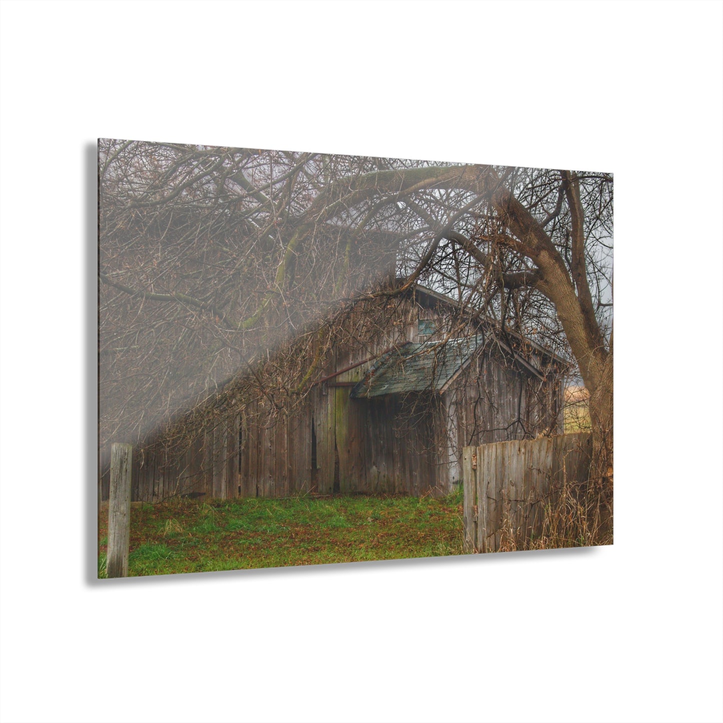 U R There Photography Bowers Road Greys III Rustic Farmhouse Acrylic Wall Print
