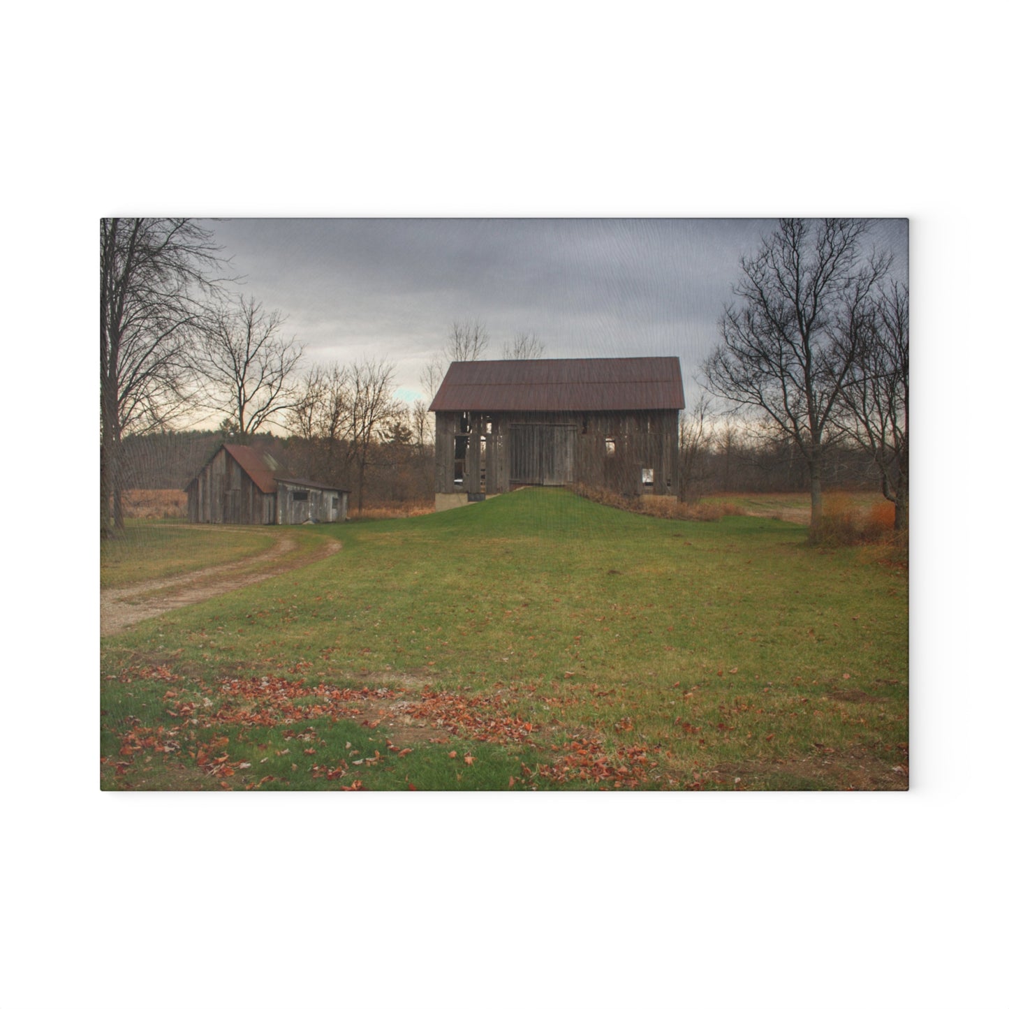 U R There Photography Roadside Greys of Carsonville Rustic Farmhouse Tempered-Glass Cutting Board