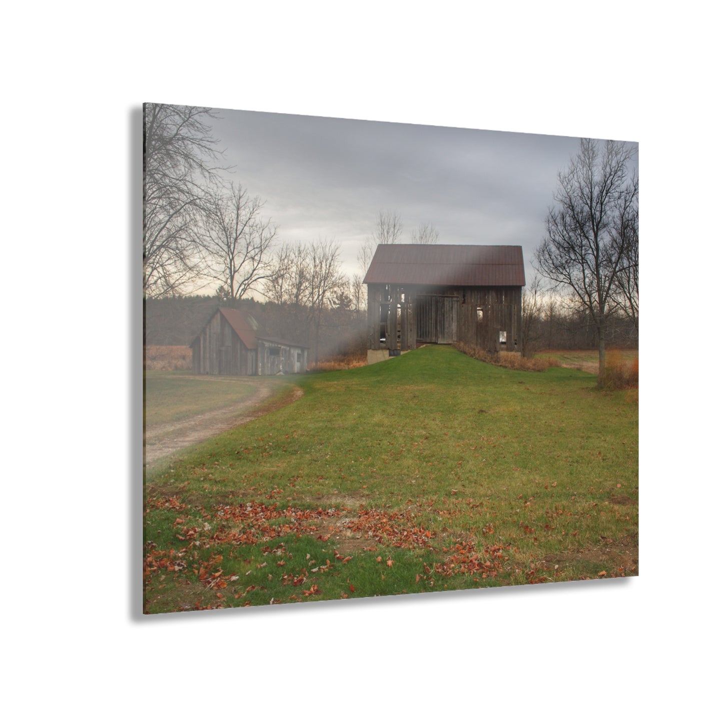 U R There Photography Roadside Greys of Carsonville Rustic Farmhouse Acrylic Wall Print