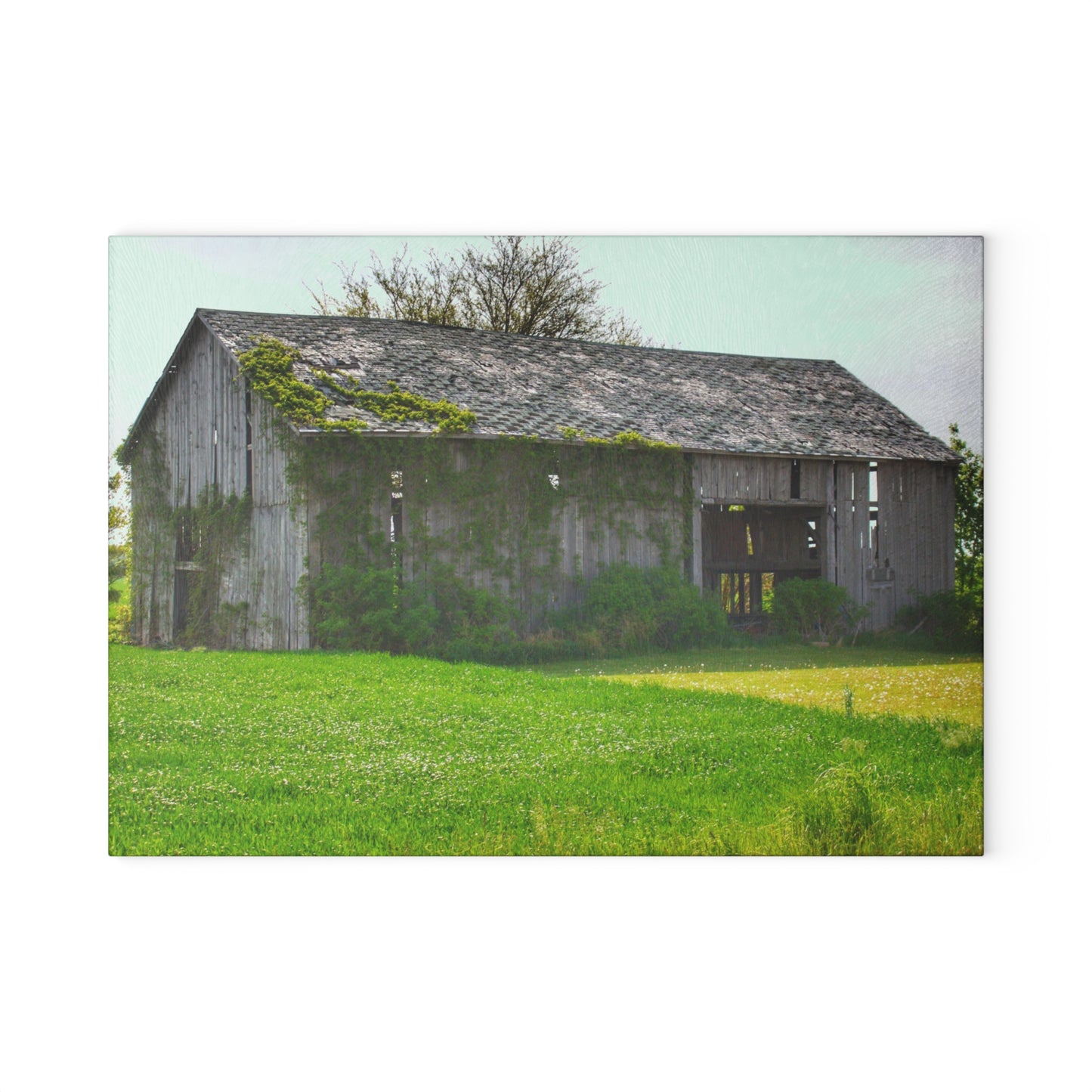 U R There Photography Caro Road Twin Grey II Rustic Farmhouse Tempered-Glass Cutting Board
