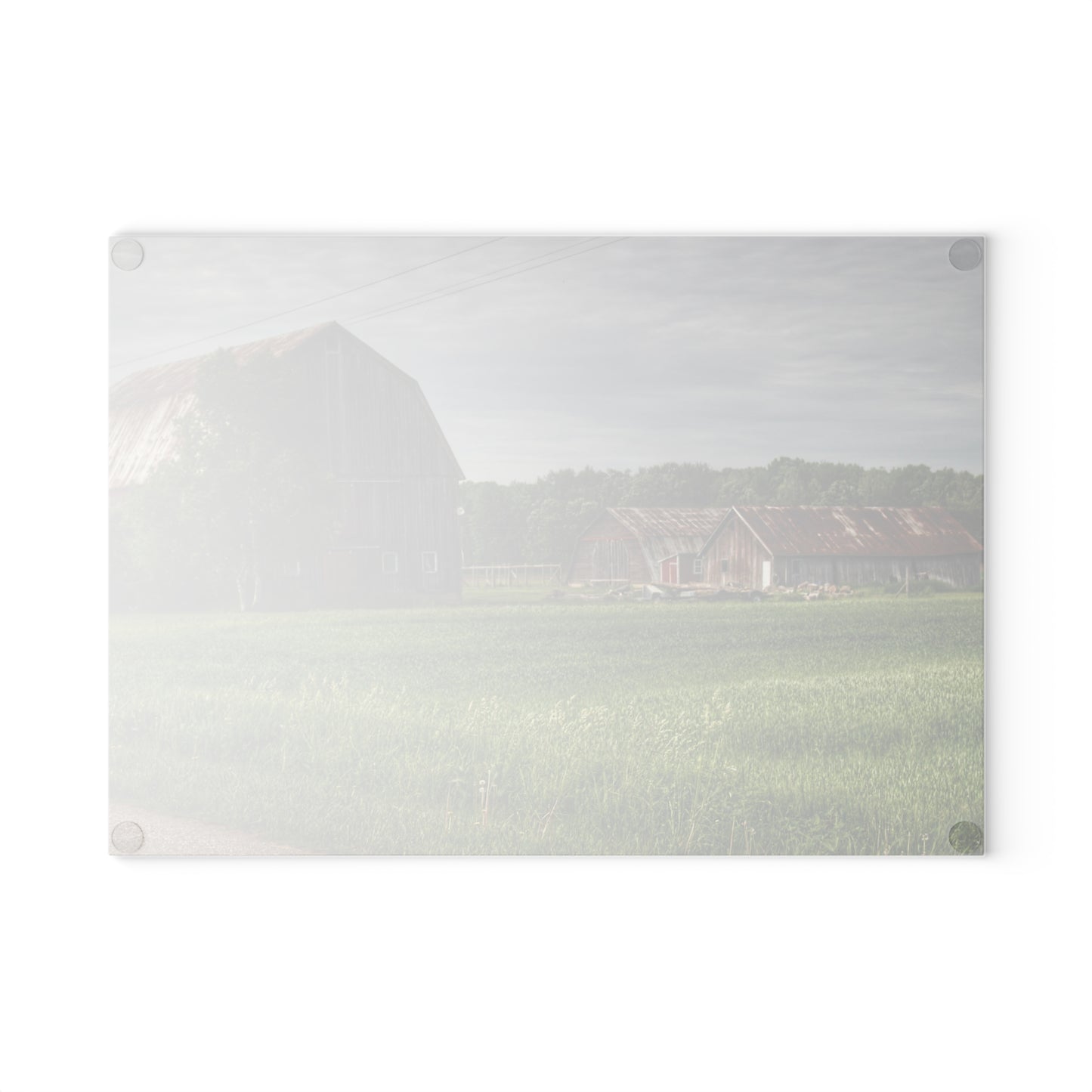 U R There Photography Barkley Road Trio Rustic Farmhouse Tempered-Glass Cutting Board
