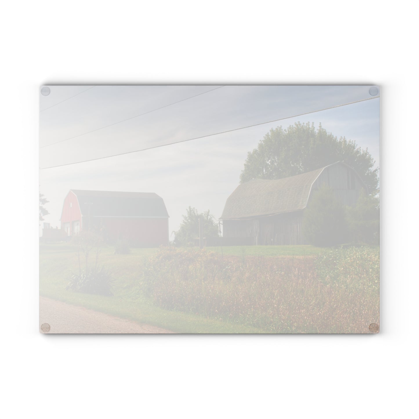 U R There Photography Schott Road Generations Rustic Farmhouse Tempered-Glass Cutting Board