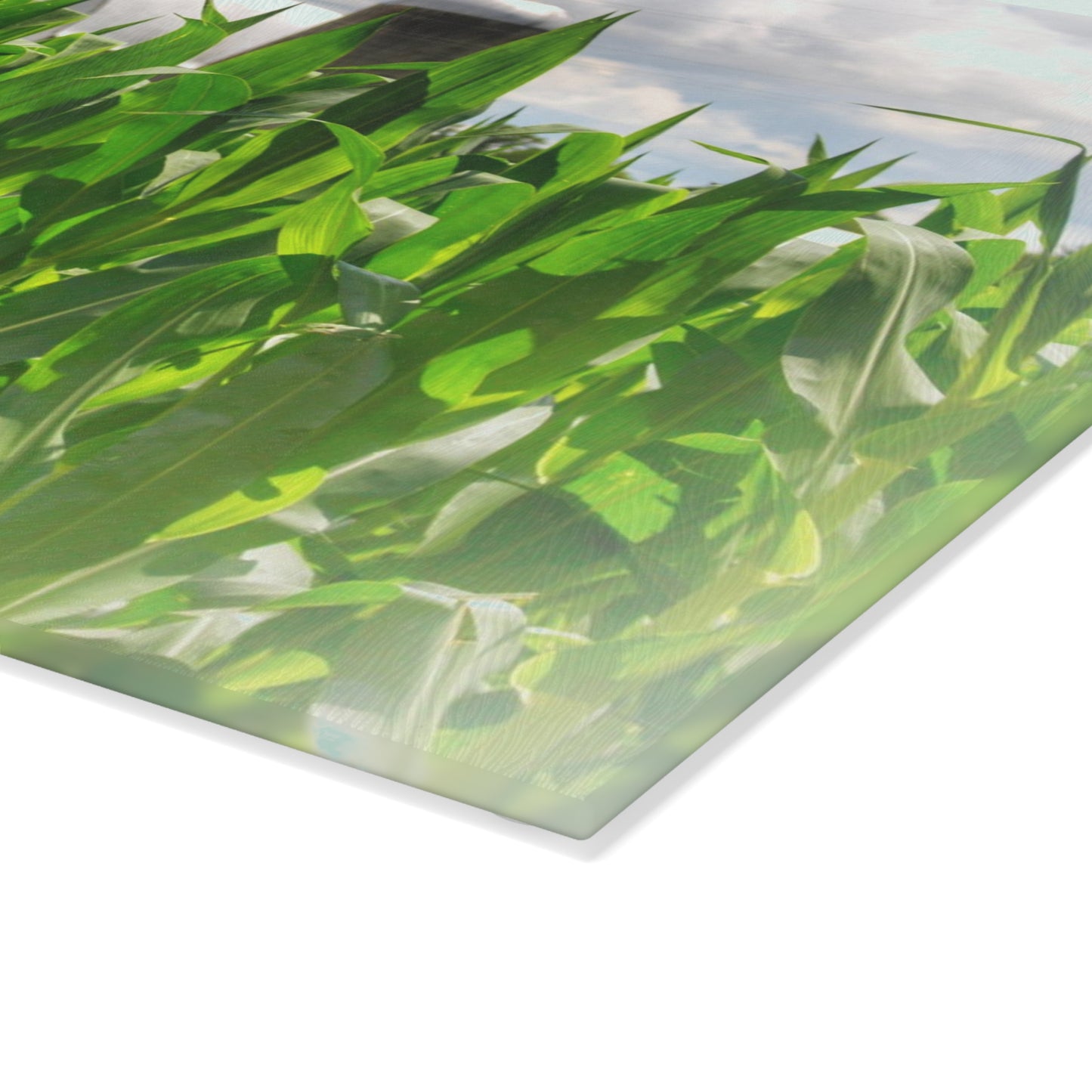 U R There Photography Beyond the Corn in Millington Rustic Farmhouse Tempered-Glass Cutting Board