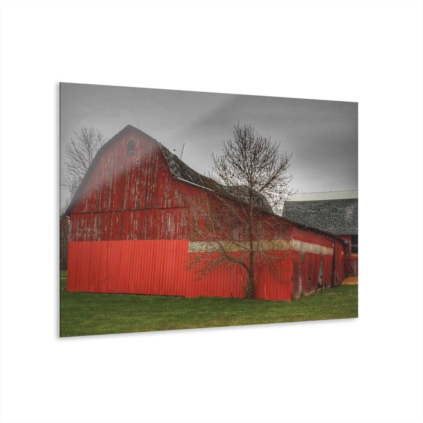U R There Photography Almont Reds Rustic Farmhouse Acrylic Wall Print