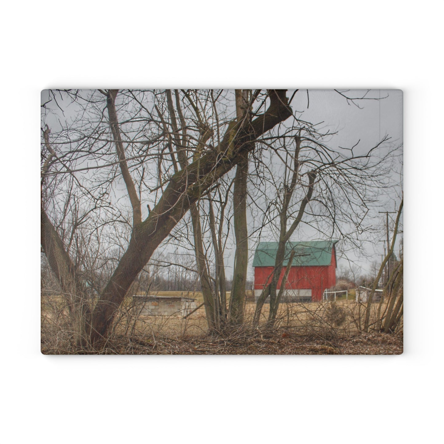 U R There Photography Daley Road Red II Rustic Farmhouse Tempered-Glass Cutting Board