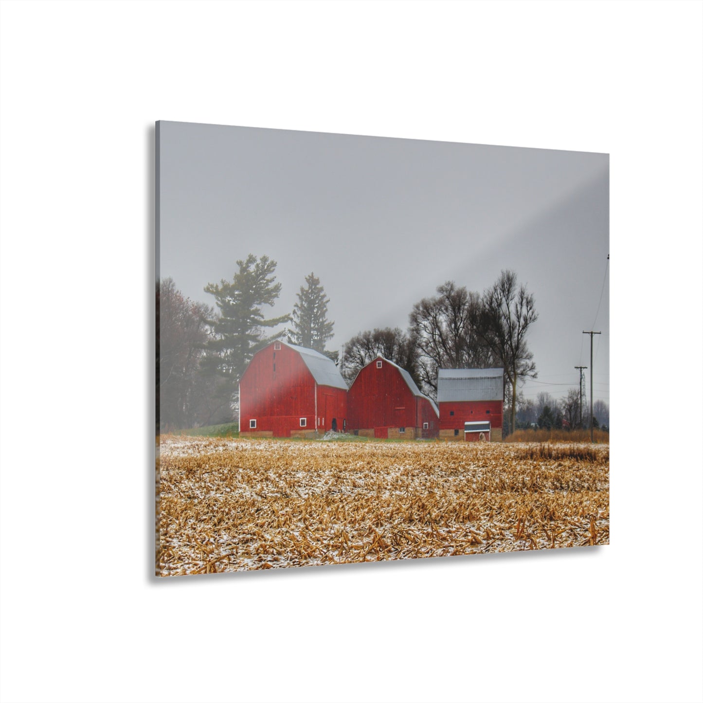 U R There Photography Shoemaker Road Winter Reds II Rustic Farmhouse Acrylic Wall Print
