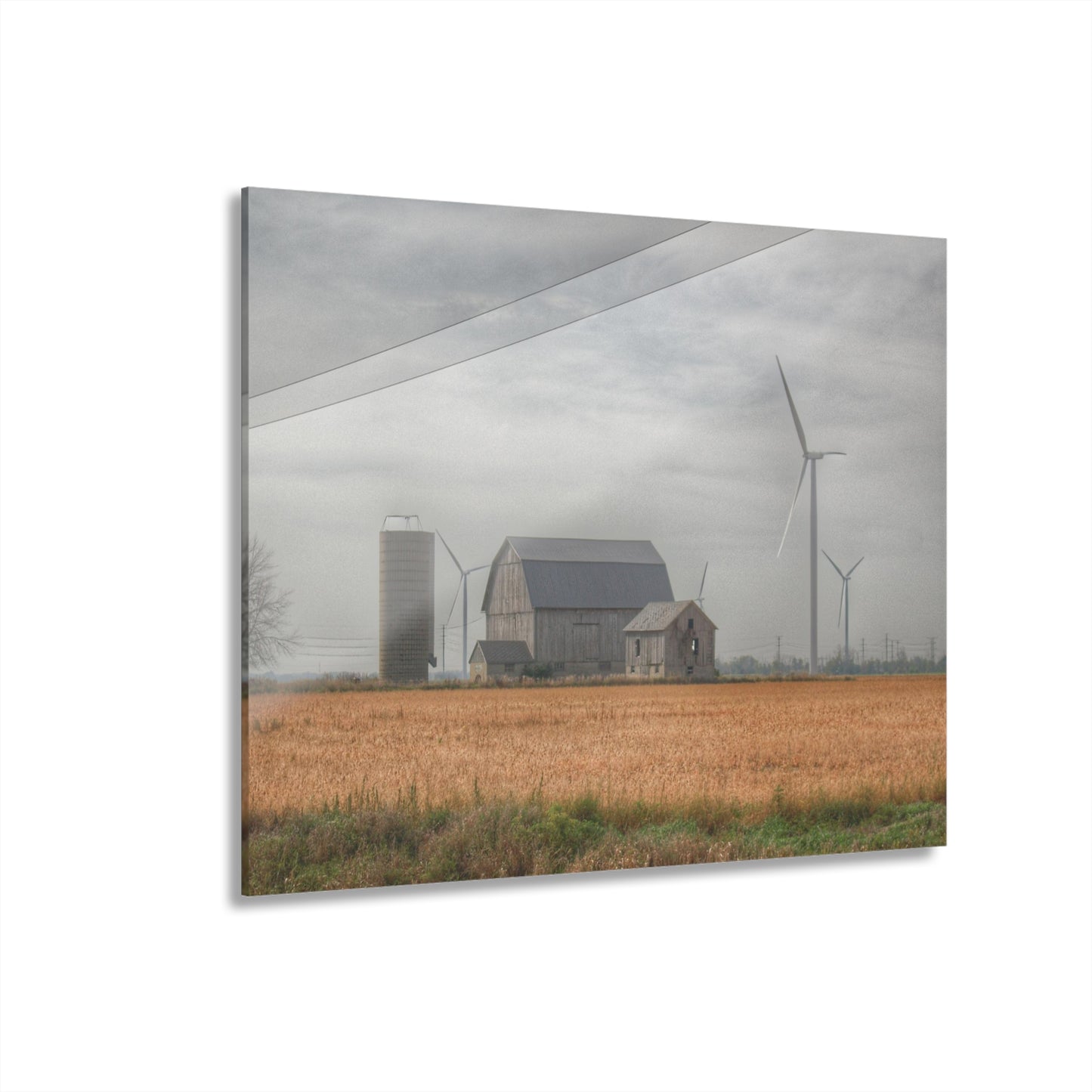 U R There Photography Pinabog Greys Rustic Farmhouse Acrylic Wall Print 14 "x 11"