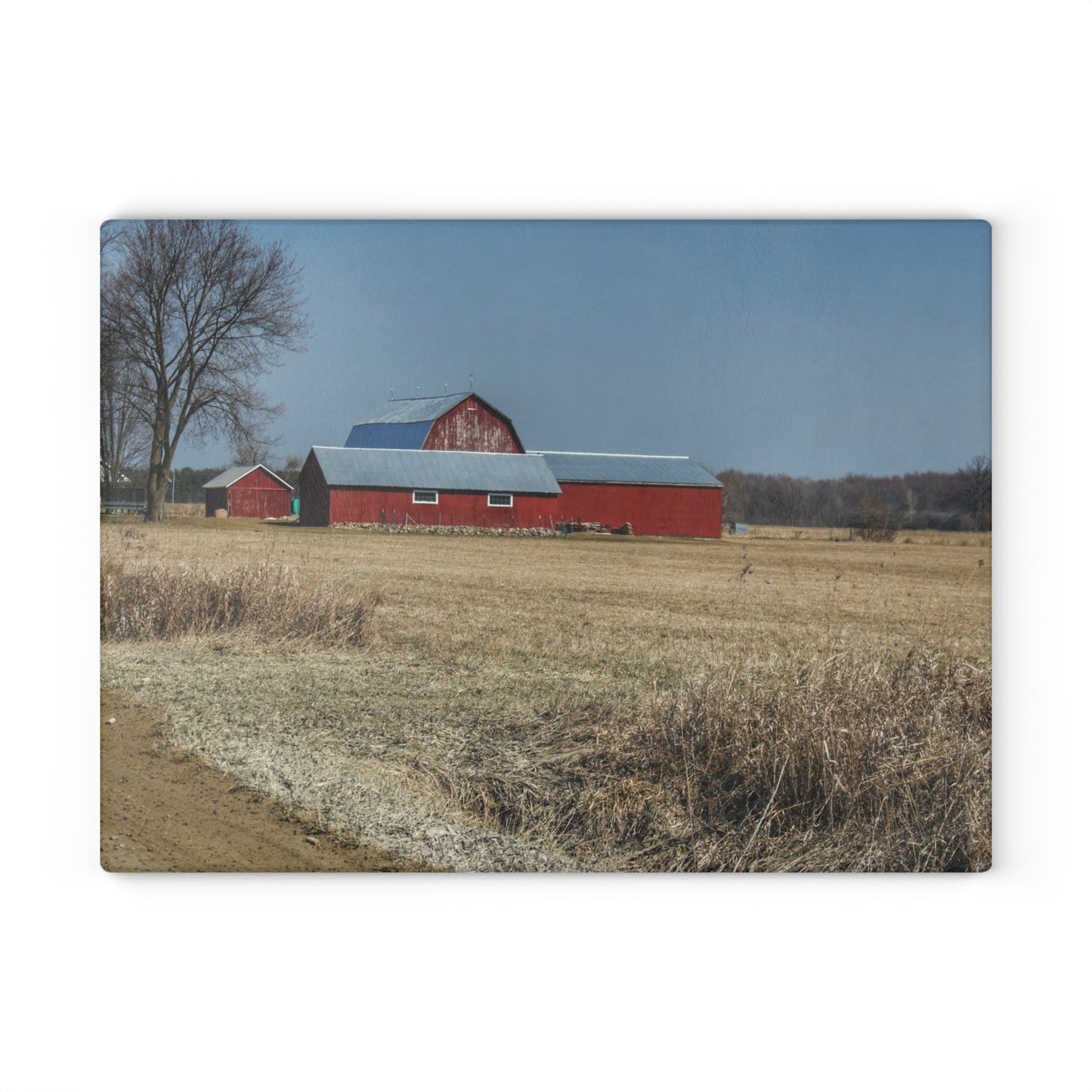 U R There Photography Romeo Plank Road Reds II Rustic Farmhouse Tempered-Glass Cutting Board
