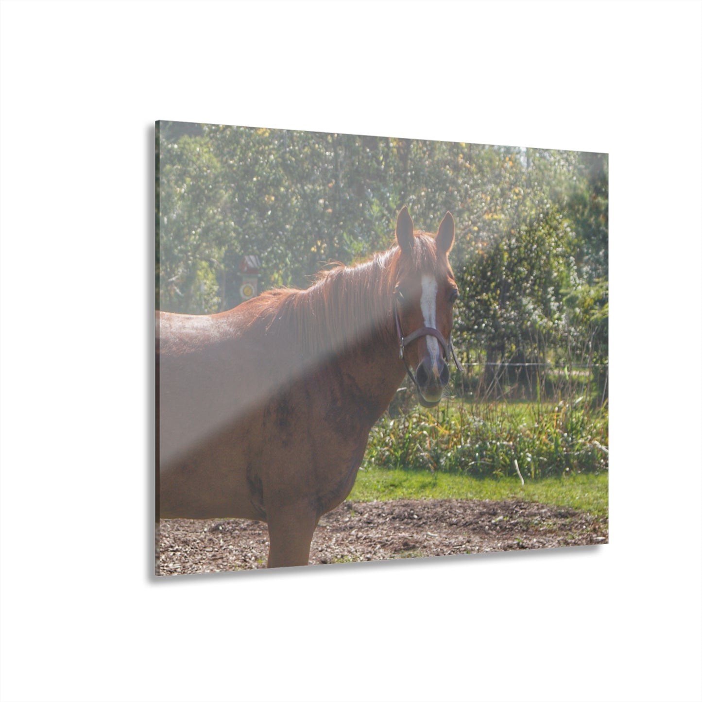 U R There Photography Froede Road Chestnut Brown Rustic Farmhouse Acrylic Wall Print