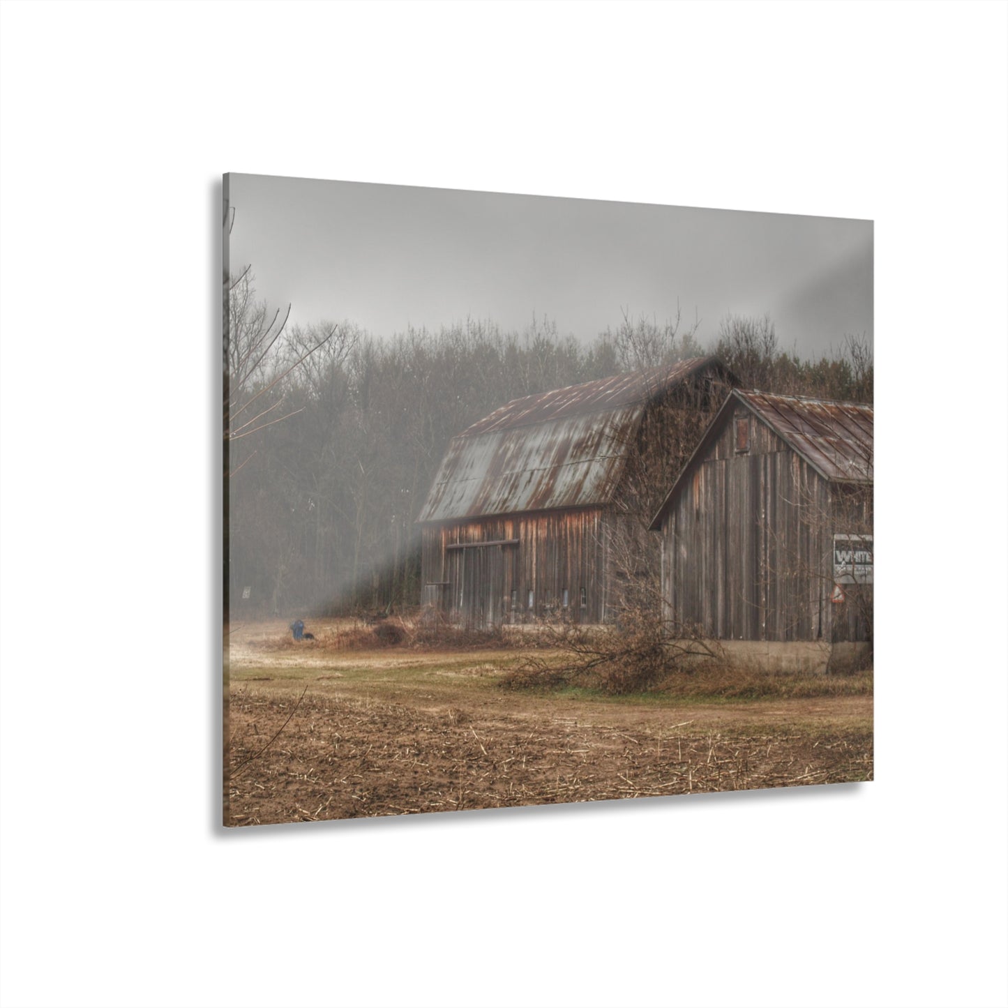 U R There Photography Arbela Road Greys Rustic Farmhouse Acrylic Wall Print
