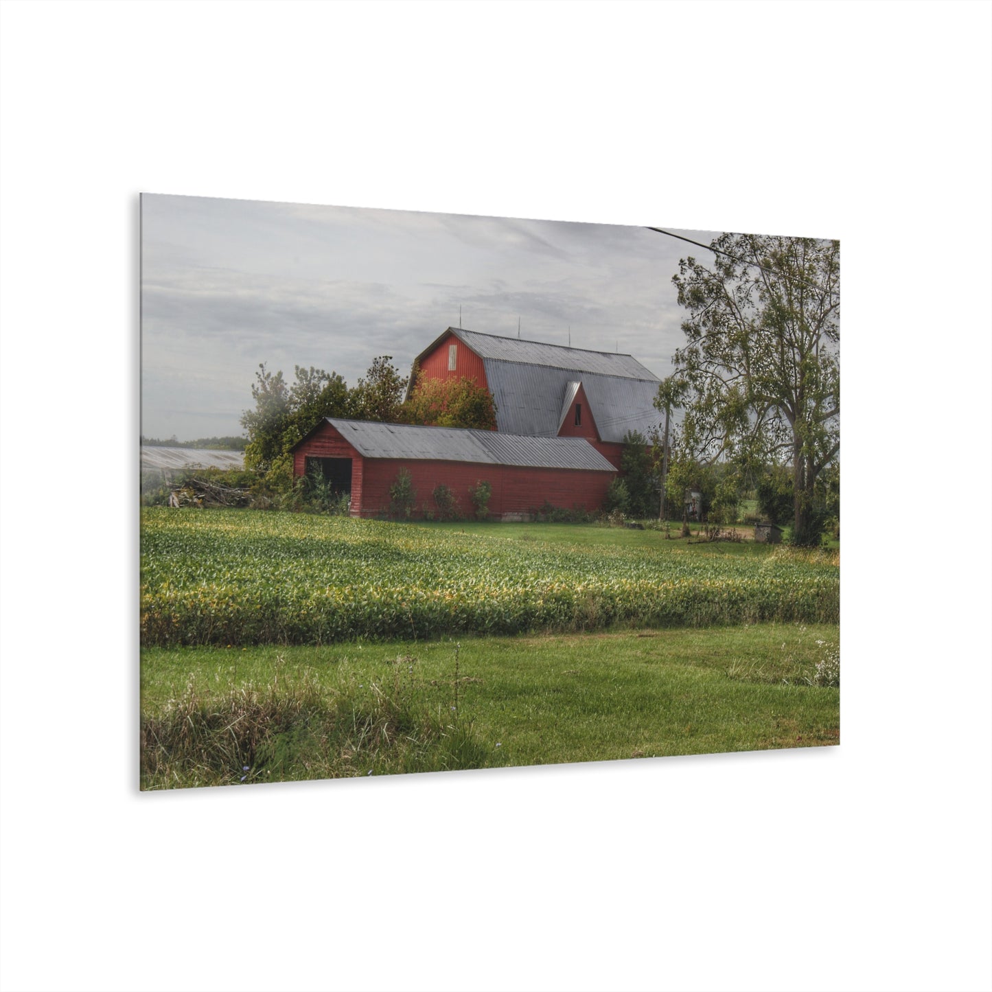 U R There Photography West Dodge Road Reds Rustic Farmhouse Acrylic Wall Print
