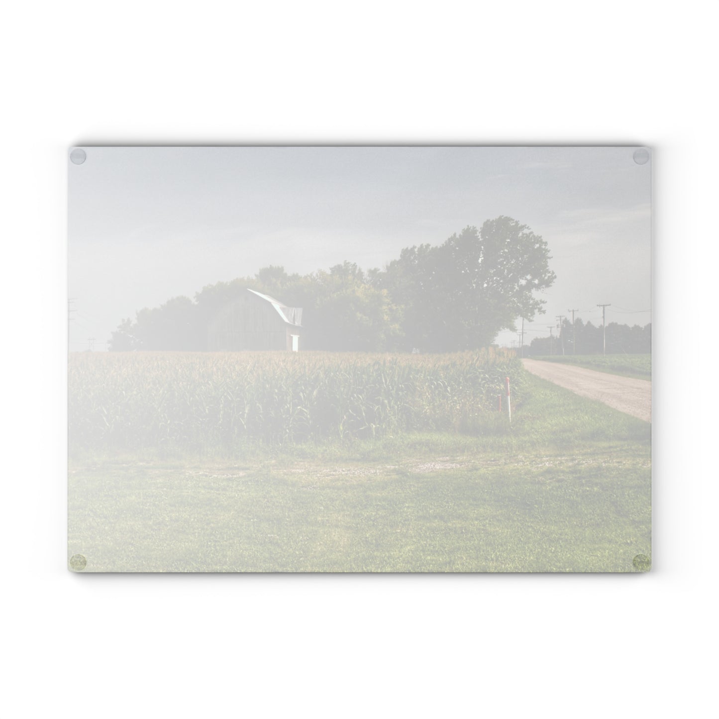 U R There Photography Quanicassee Road Grey Rustic Farmhouse Tempered-Glass Cutting Board