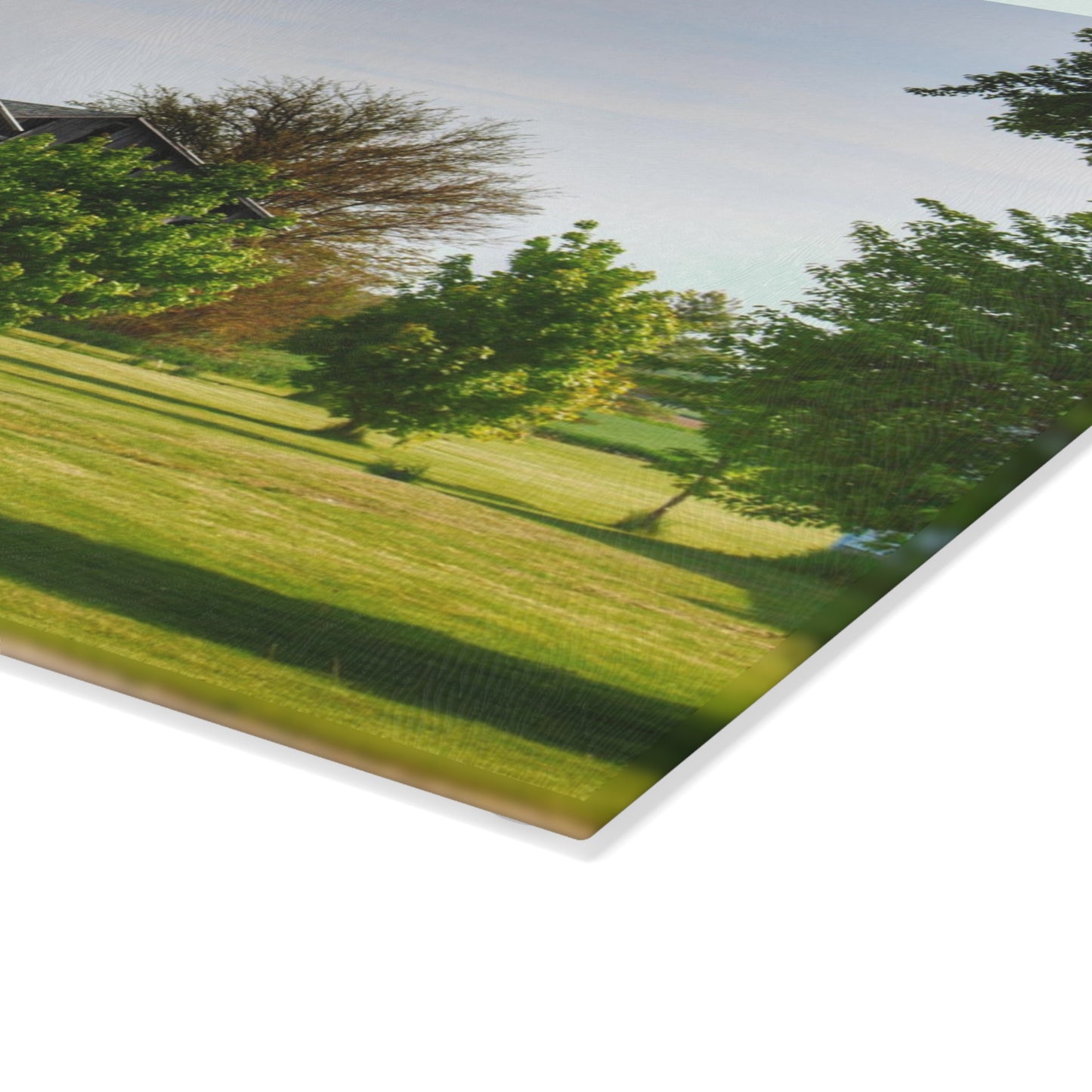 U R There Photography Caro Road Twin Greys II Rustic Farmhouse Tempered-Glass Cutting Board