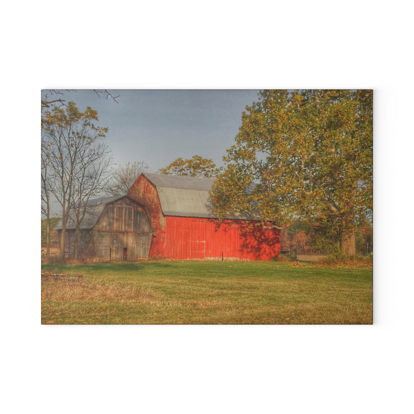 U R There Photography Barkley Road Red I Rustic Farmhouse Tempered-Glass Cutting Board