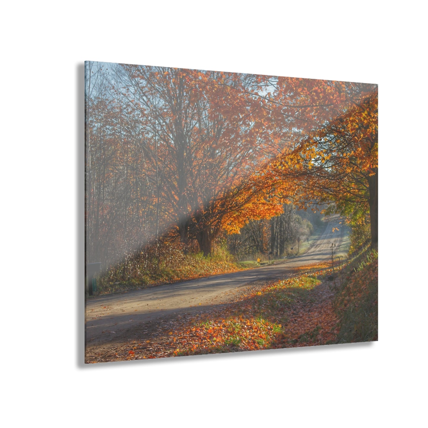 U R There Photography Fall on Oak Road Rustic Farmhouse Acrylic Wall Print