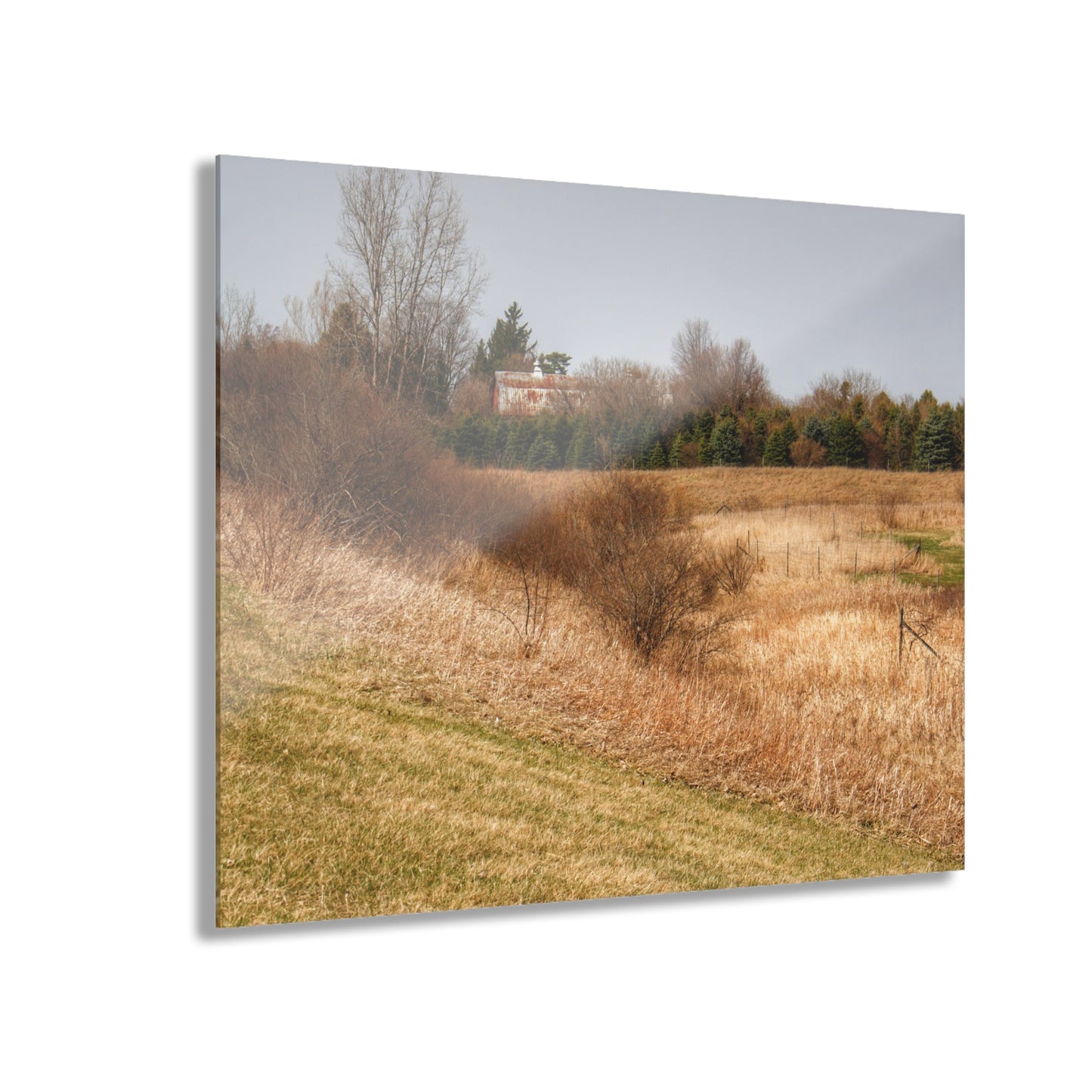 U R There Photography Beyond the Short Pines Rustic Farmhouse Acrylic Wall Print
