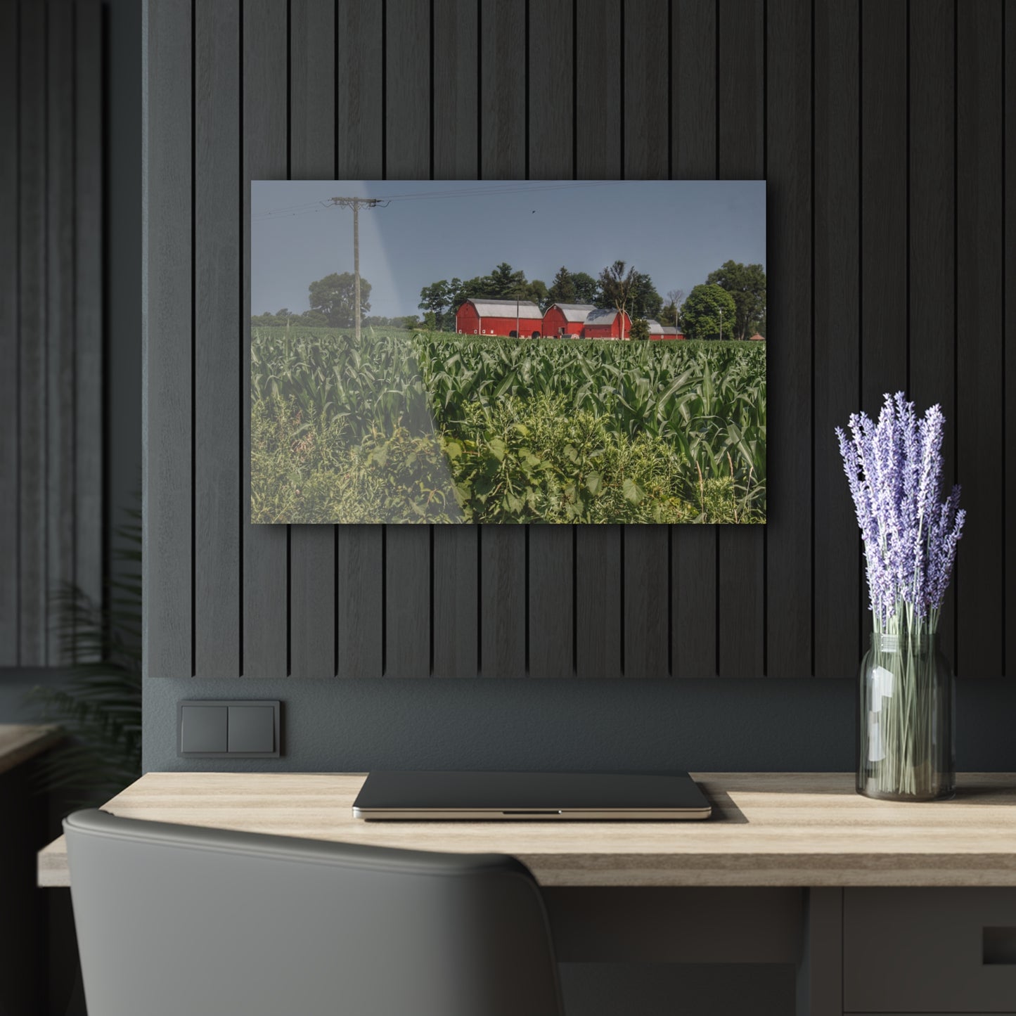 U R There Photography Shoemaker Road Reds Beyond the Corn Rustic Farmhouse Acrylic Wall Print
