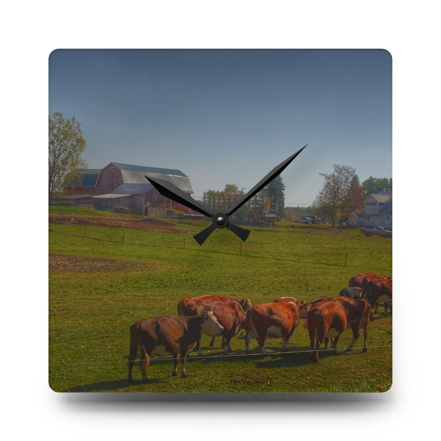 U R There Photography Plain Road Farm and Cows Rustic Farmhouse Acrylic Analog Wall Clock