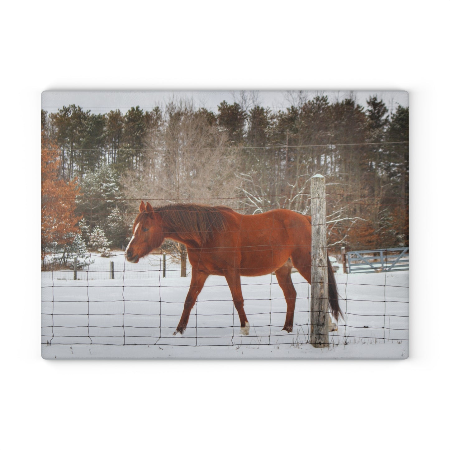 U R There Photography Roadside Chestnut Rustic Farmhouse Tempered-Glass Cutting Board