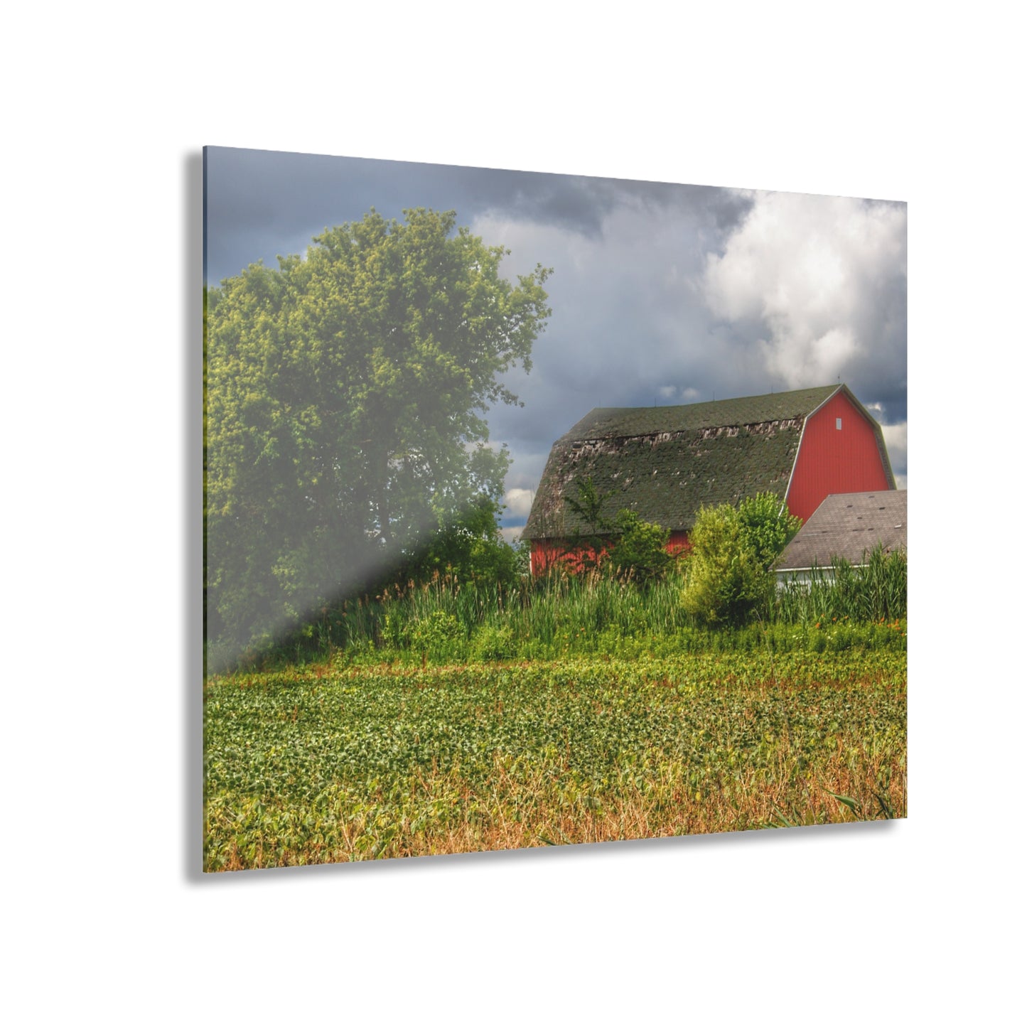 U R There Photography Shelby Red IV Rustic Farmhouse Acrylic Wall Print
