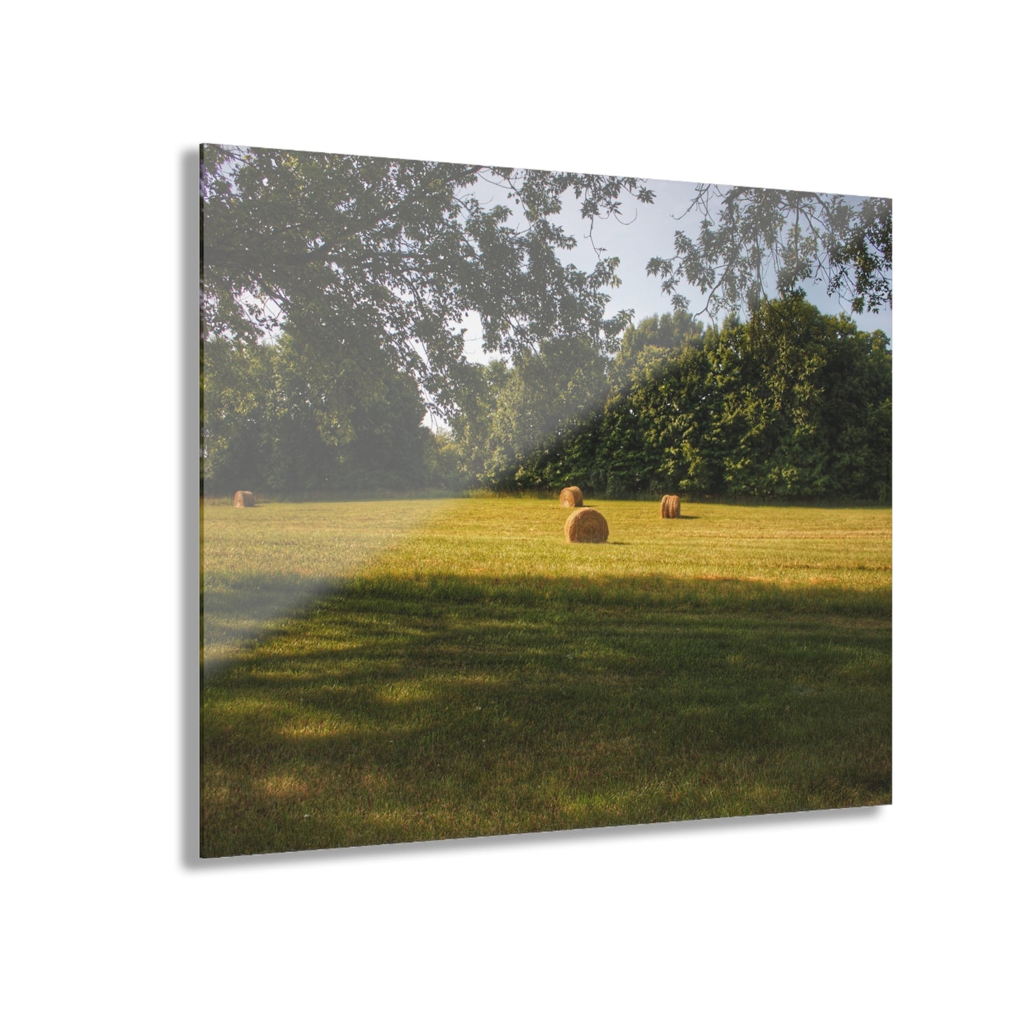 U R There Photography Summer Haybales I Rustic Farmhouse Acrylic Wall Print