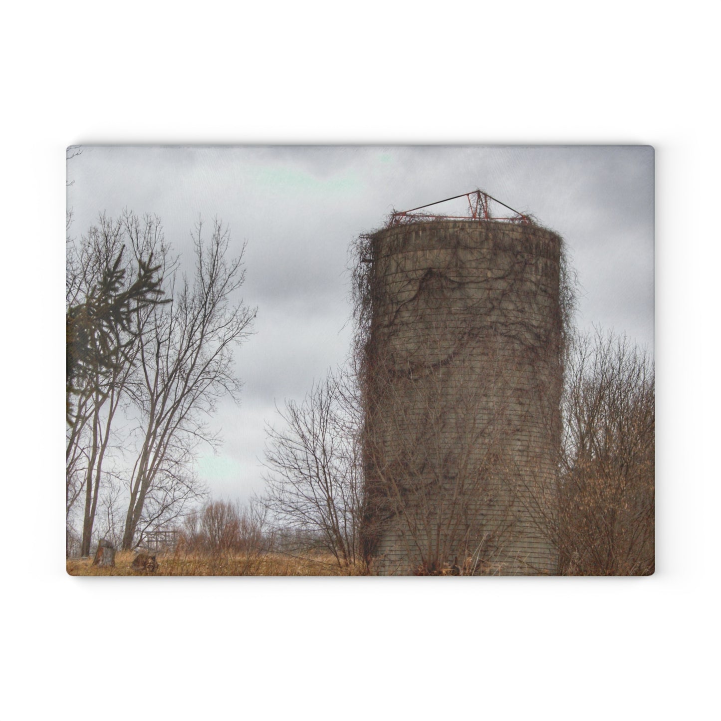 U R There Photography West Barnes Lake Silo Rustic Farmhouse Tempered-Glass Cutting Board